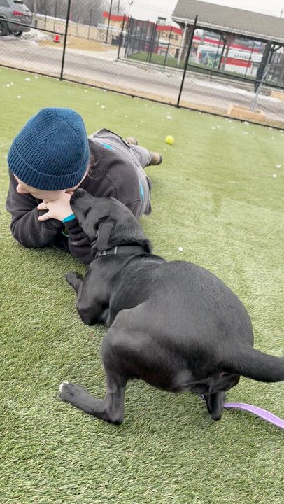 Enlarge Lucy, a ADOPTABLE Mixed Breed in Chester, PA video 4/4