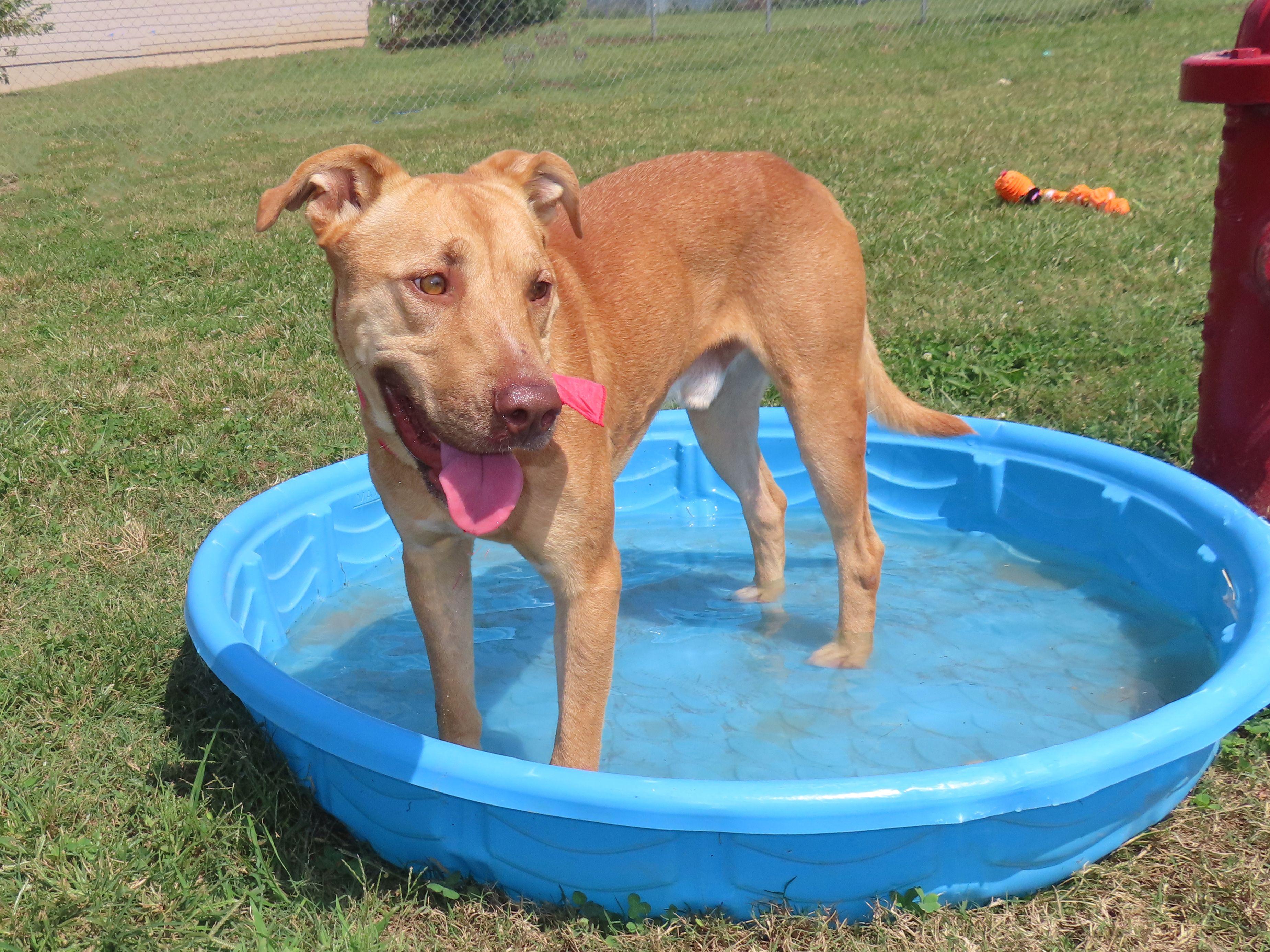 Clifford  C thumbnail 2