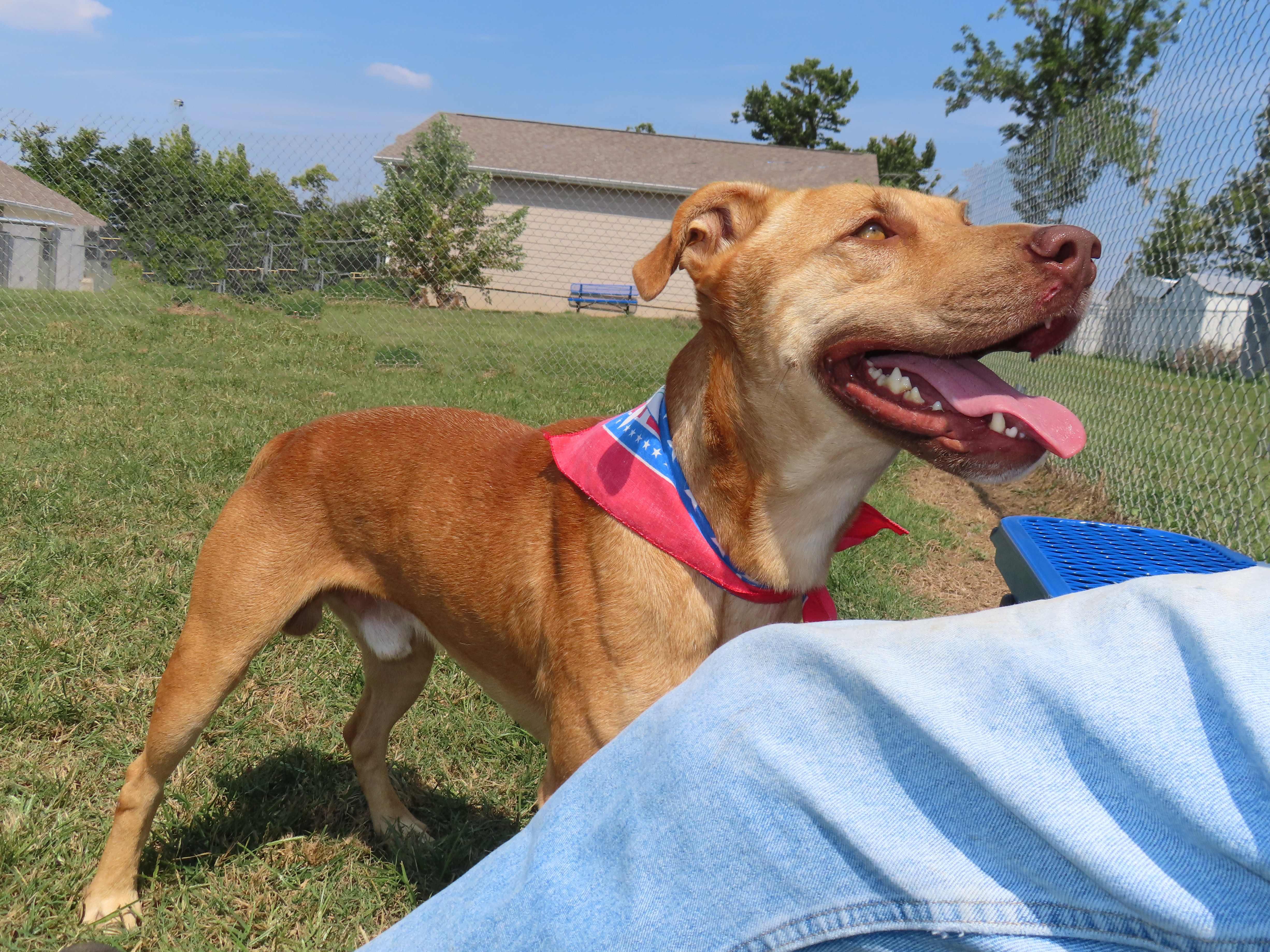 Clifford  C thumbnail 4