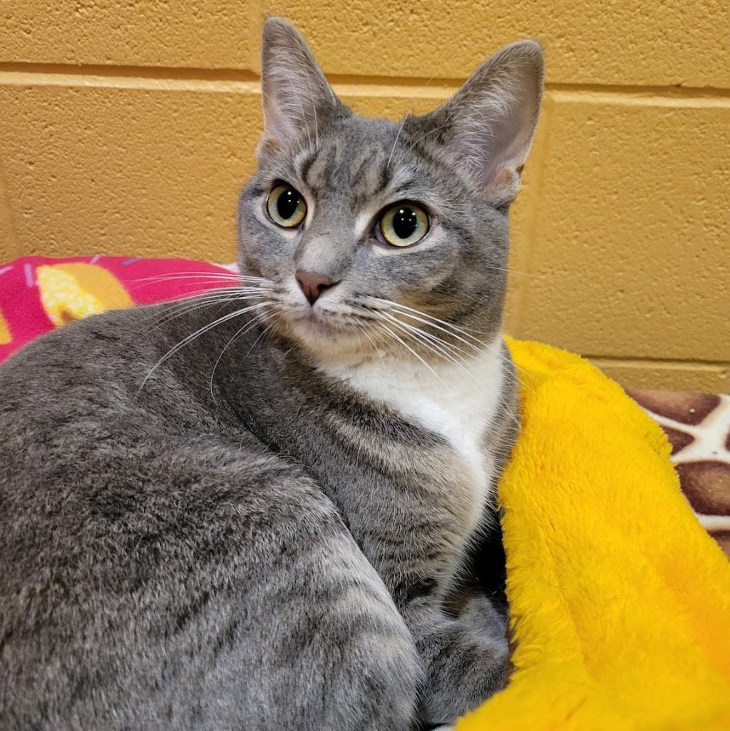 Darling — thumbnail 2