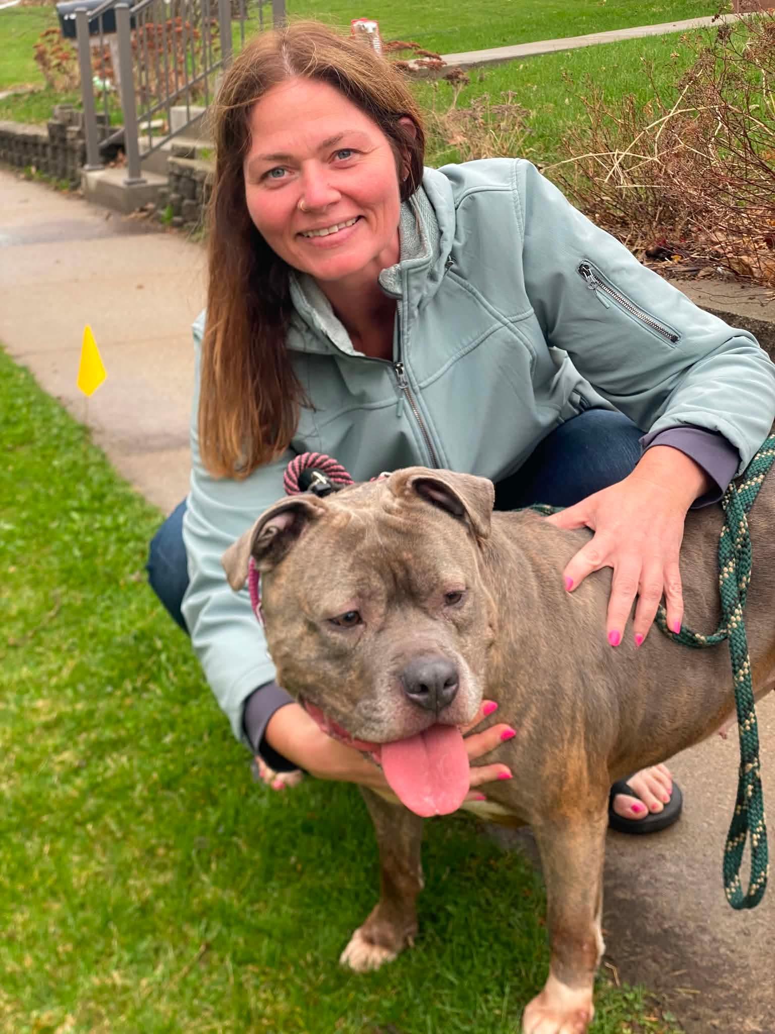 Halo, a ADOPTABLE Staffordshire Bull Terrier in Fort atkinson, WI image 6/6