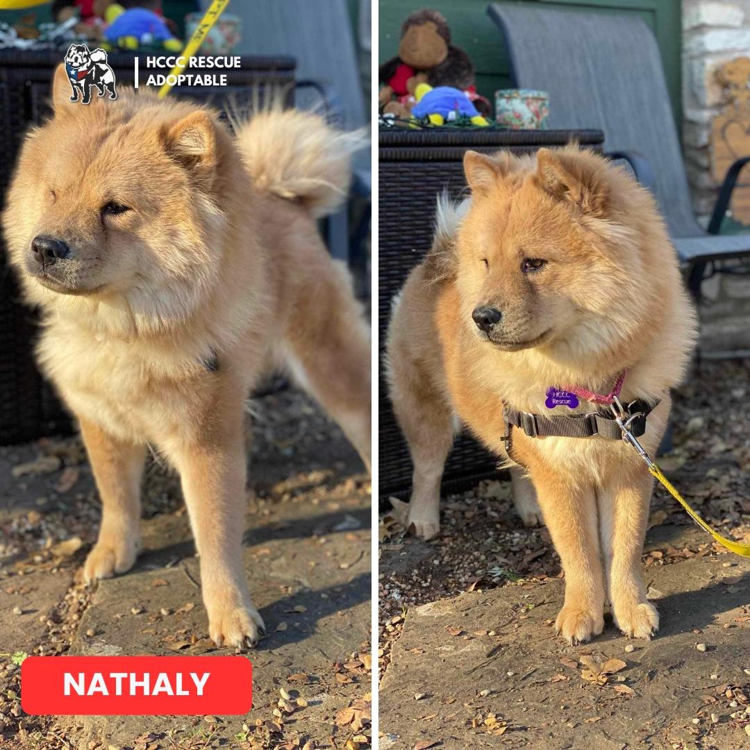 Nathaly photo 2