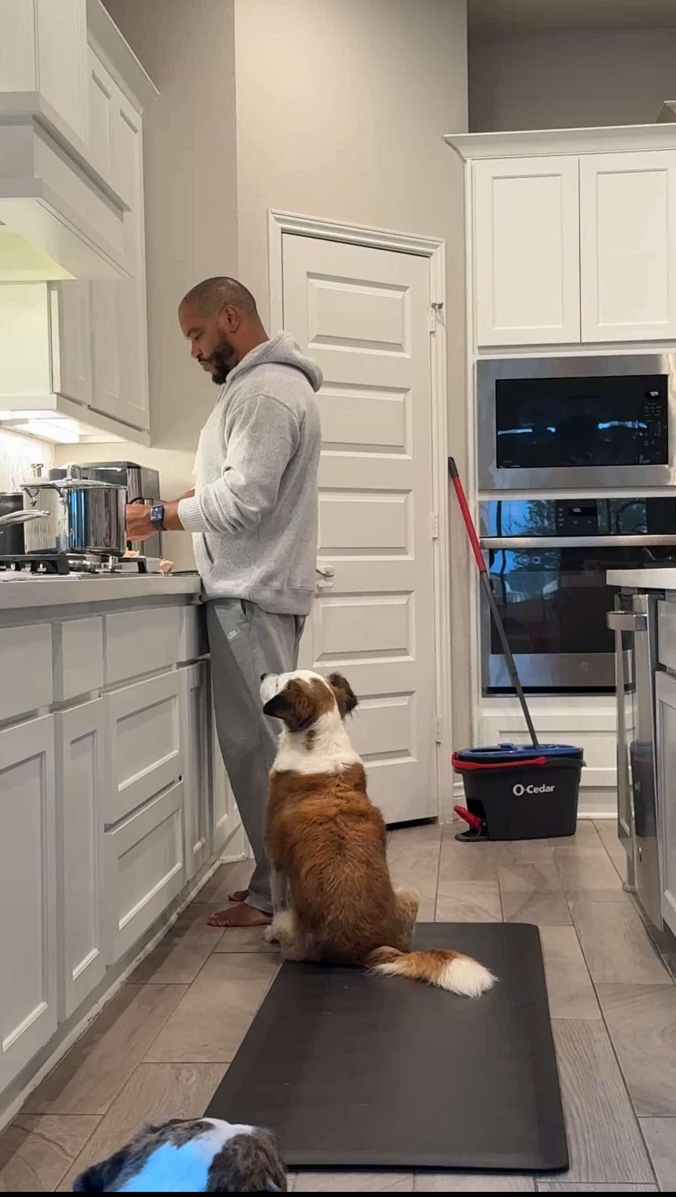 Enlarge Panda, a Adoptable mixed breed in Yonkers, NY image 5/5