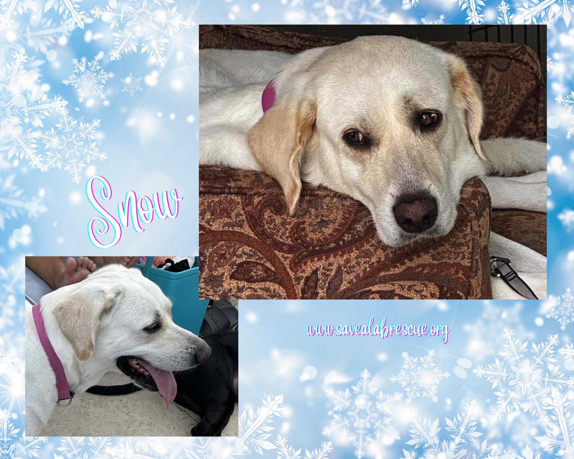 Snow