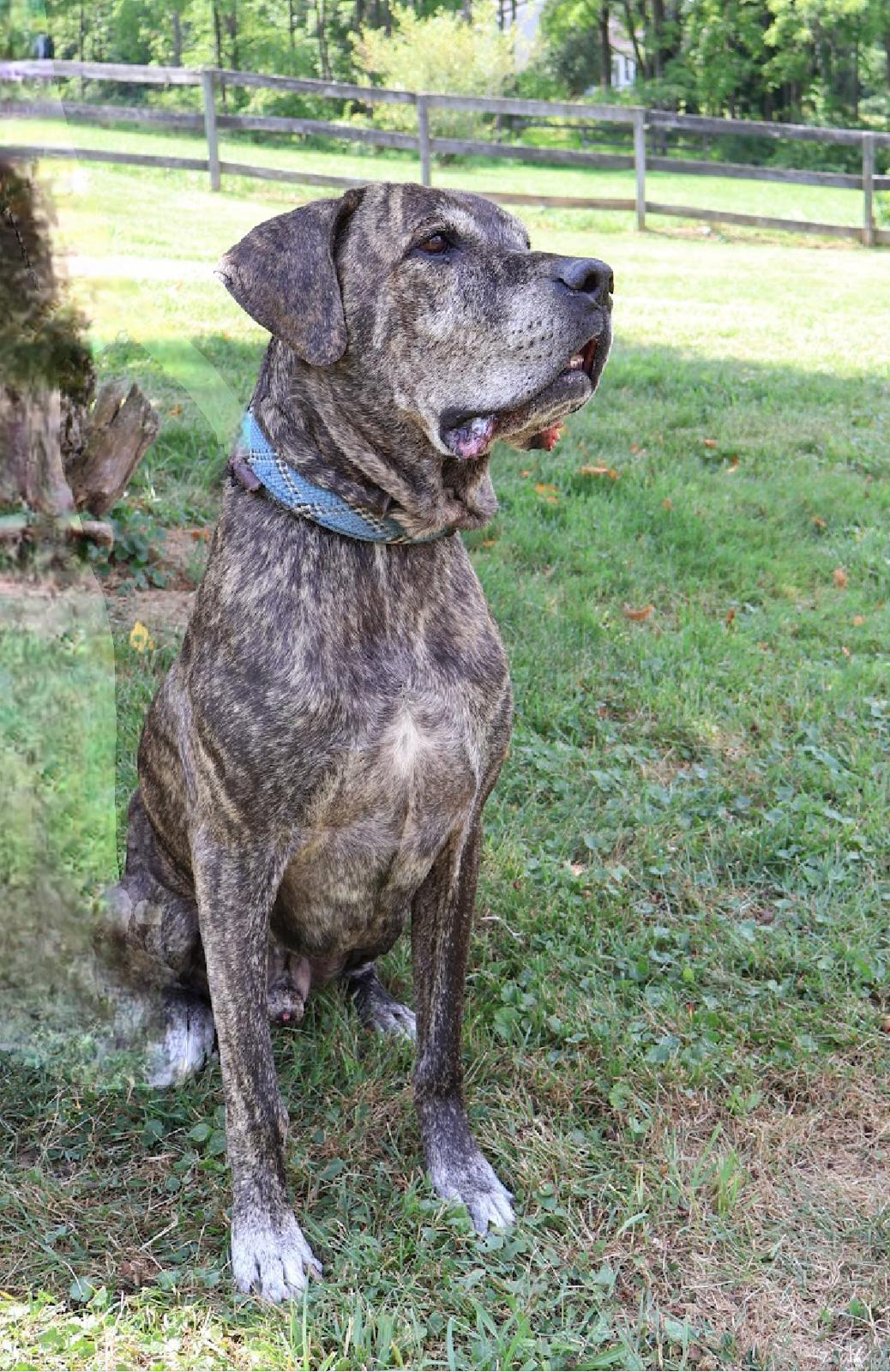 LOUIE (in NY and ready for a meet and greet