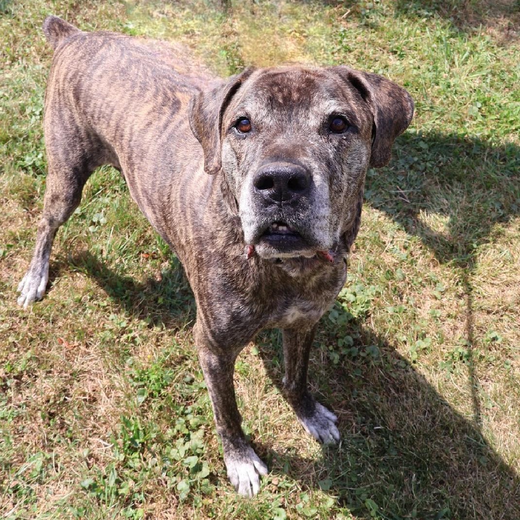 LOUIE (in NY and ready for a meet and greet