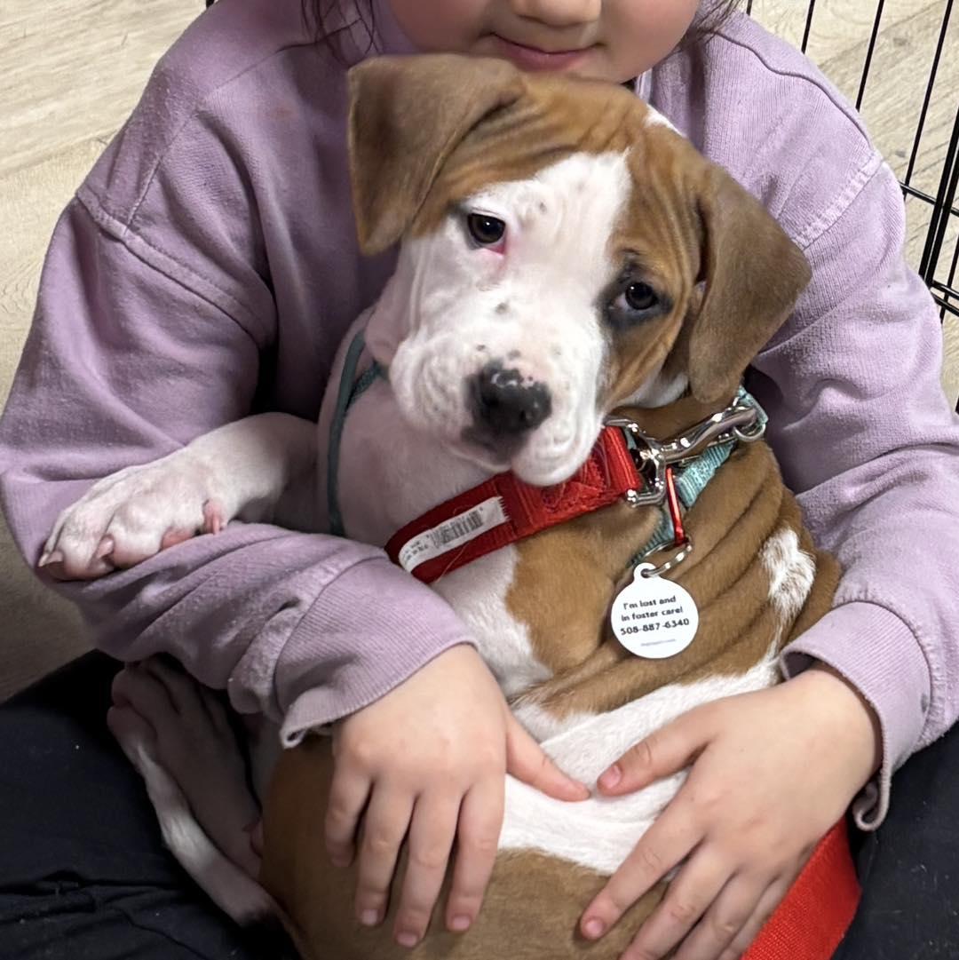 Photo of Mae
