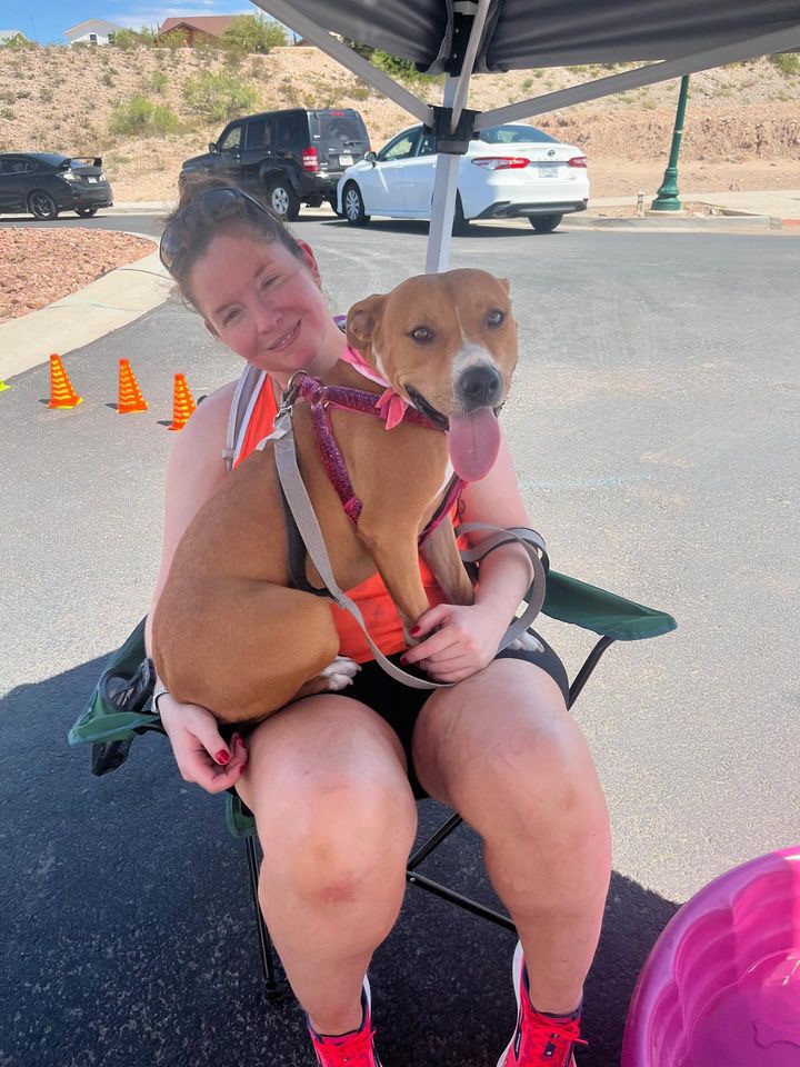 Enlarge Harmony, a Adoptable Pit Bull Terrier in El Paso, TX image 2/5