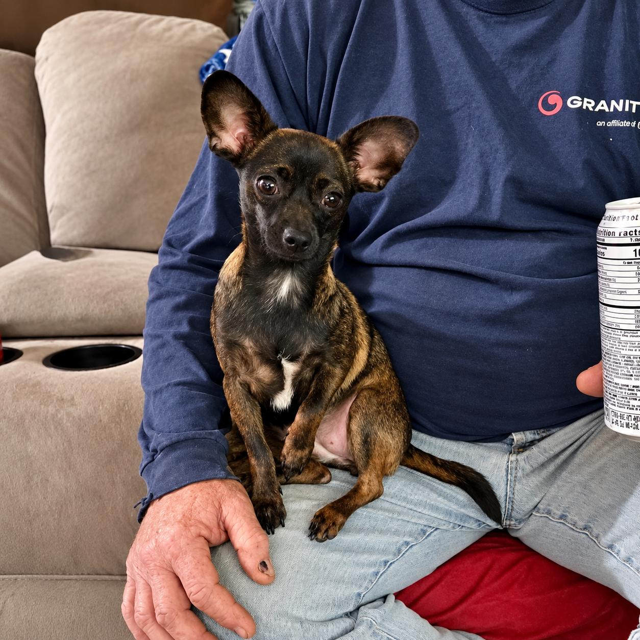 Enlarge Bubbles, a Adoptable mixed breed in Uxbridge, MA image 1/1