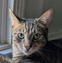 Otis (A096957) 1