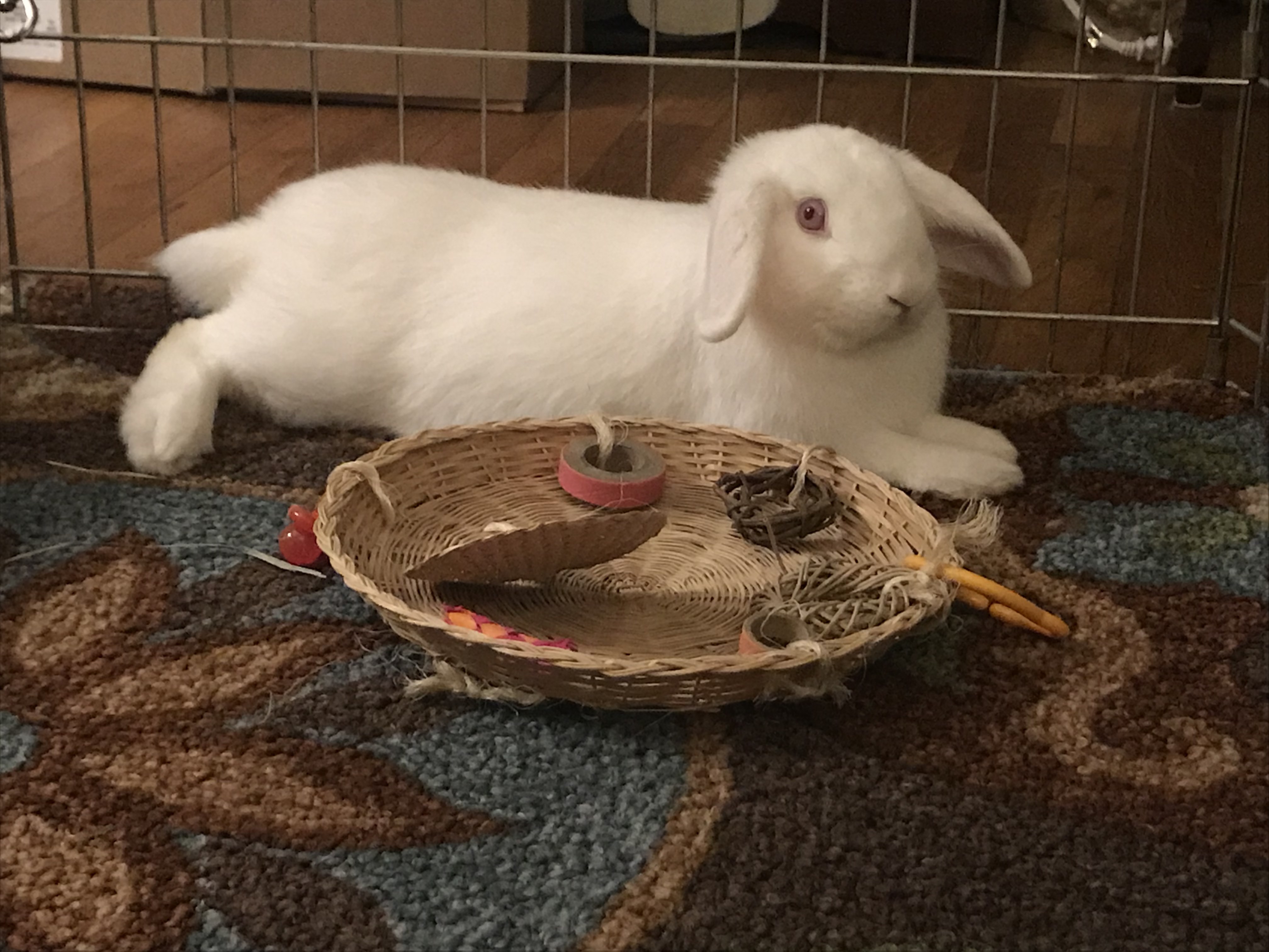 Casper photo 5