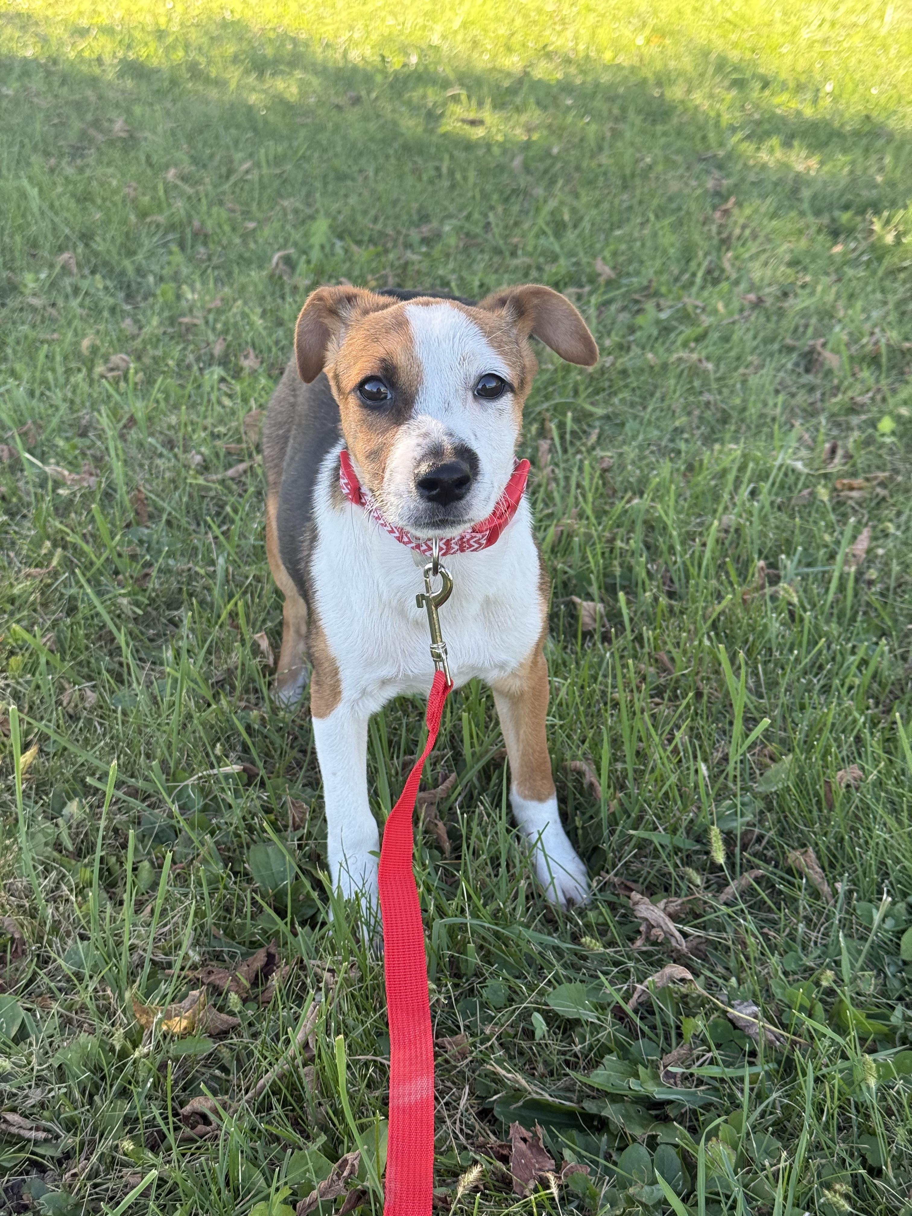 Genevieve thumbnail 2