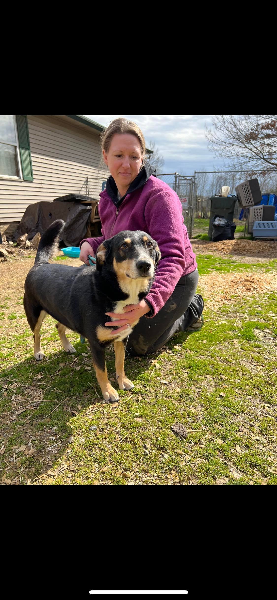 Cece, a Adoptable mixed breed in Greenfield, TN image 2/10