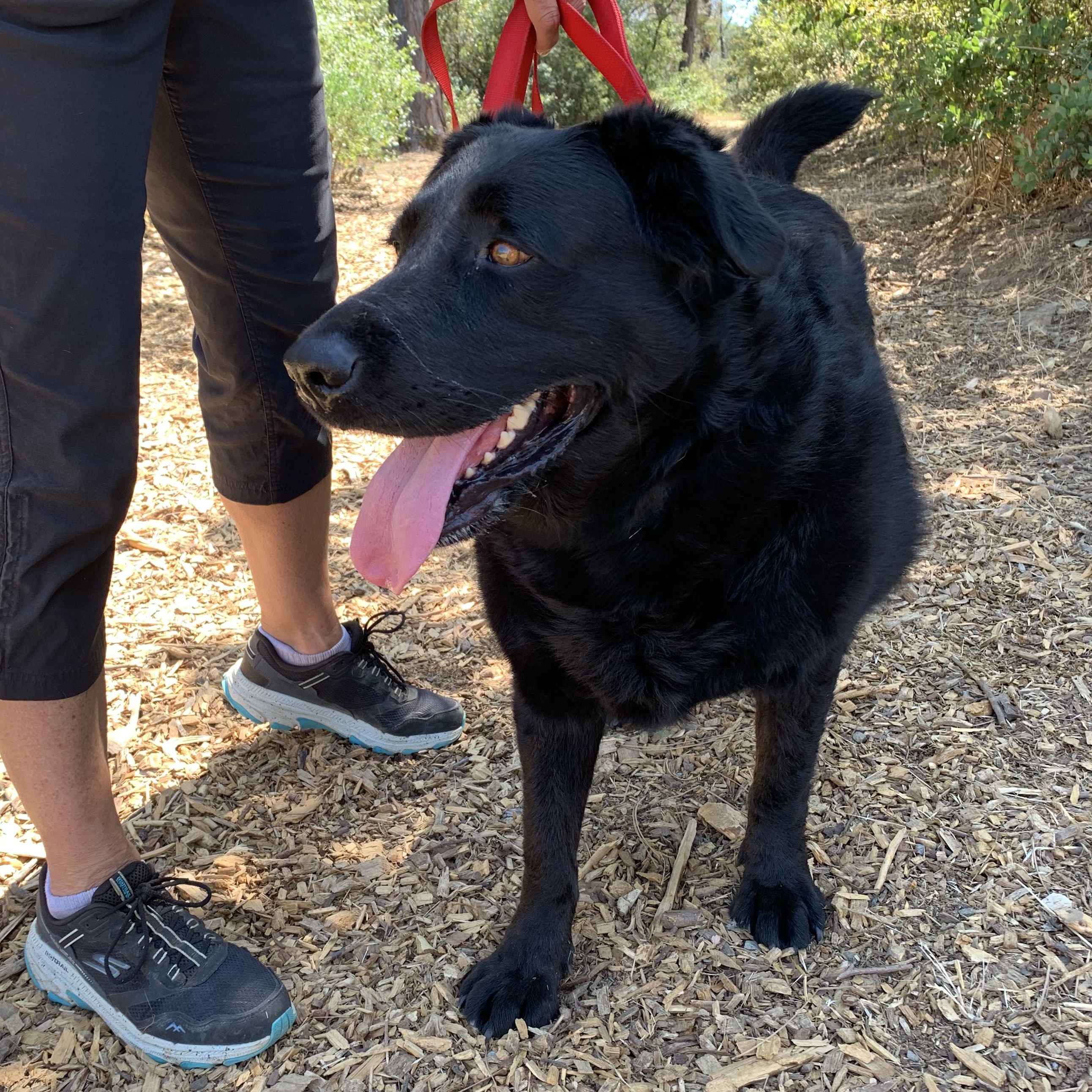 Dont let her name fool you this gal is just as sweet as they come She has a happy easy