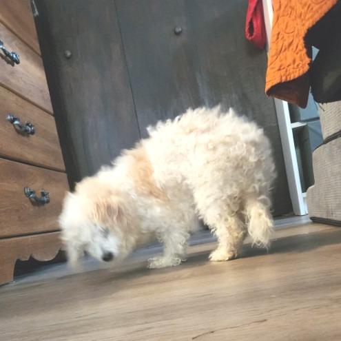 Eliana GC — thumbnail 2