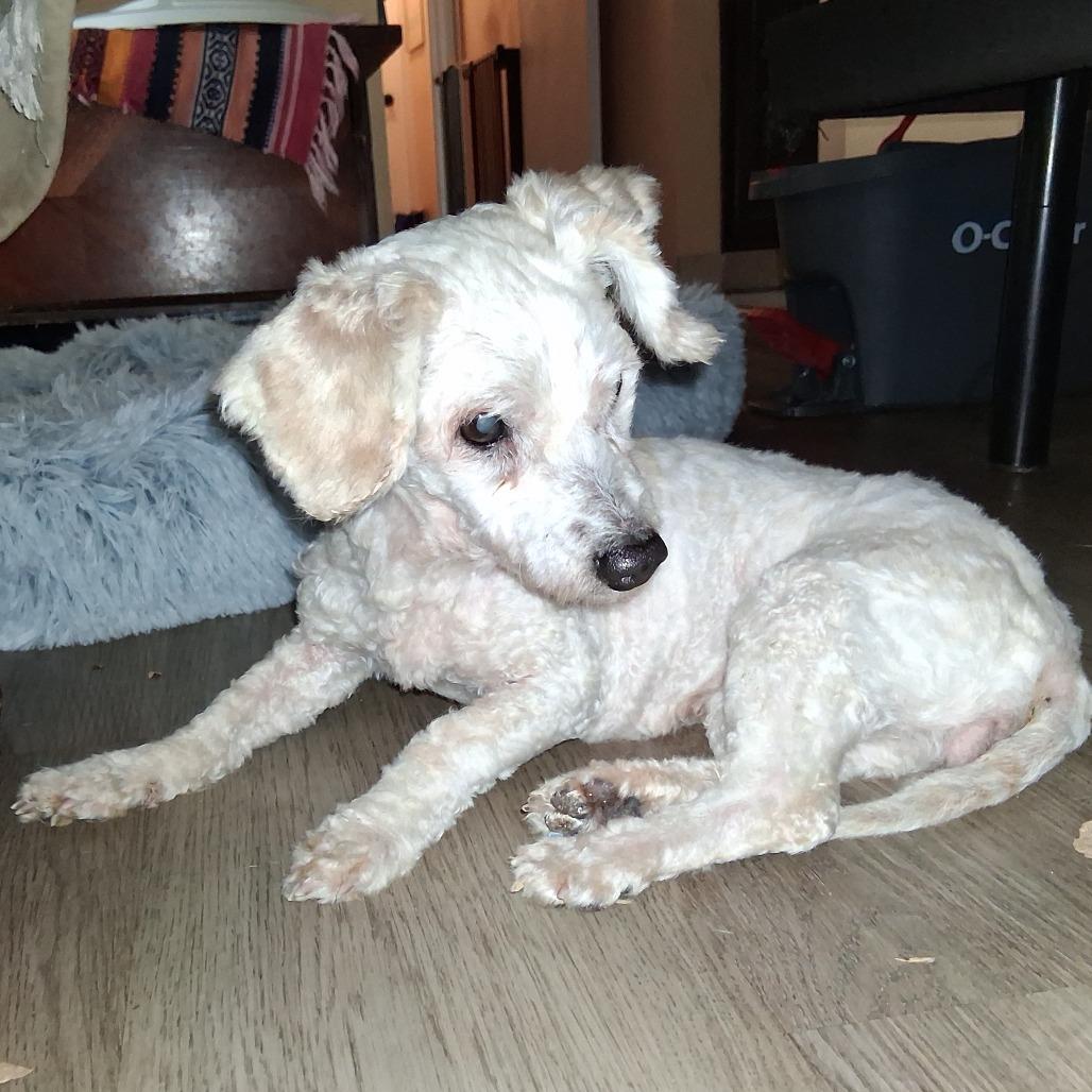 Eliana GC — thumbnail 3