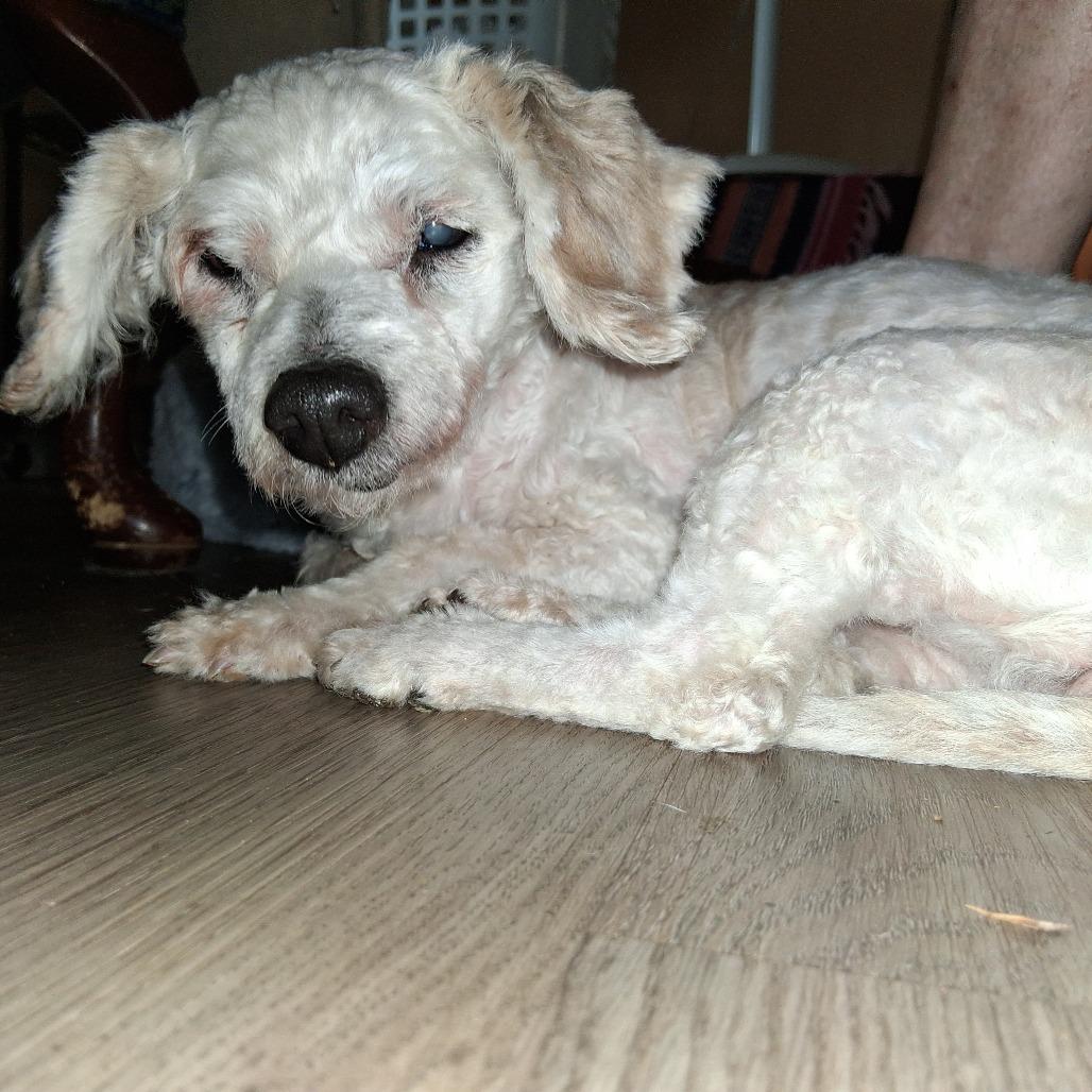 Eliana GC — thumbnail 4