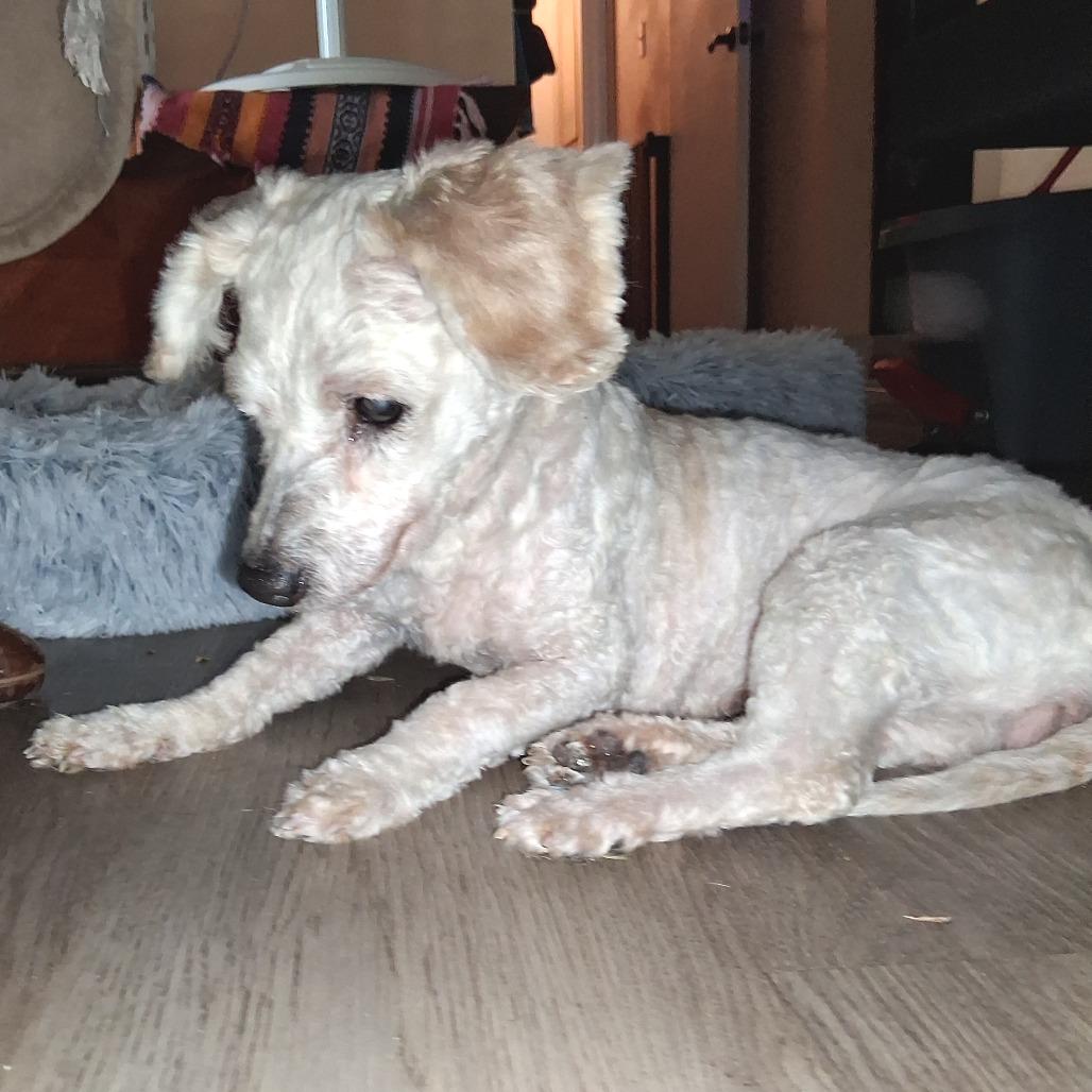 Eliana GC — thumbnail 5