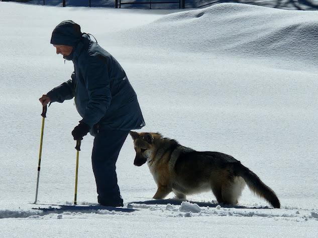 Belle fka Bella, a Adopted mixed breed in Jerome, ID image 4/6