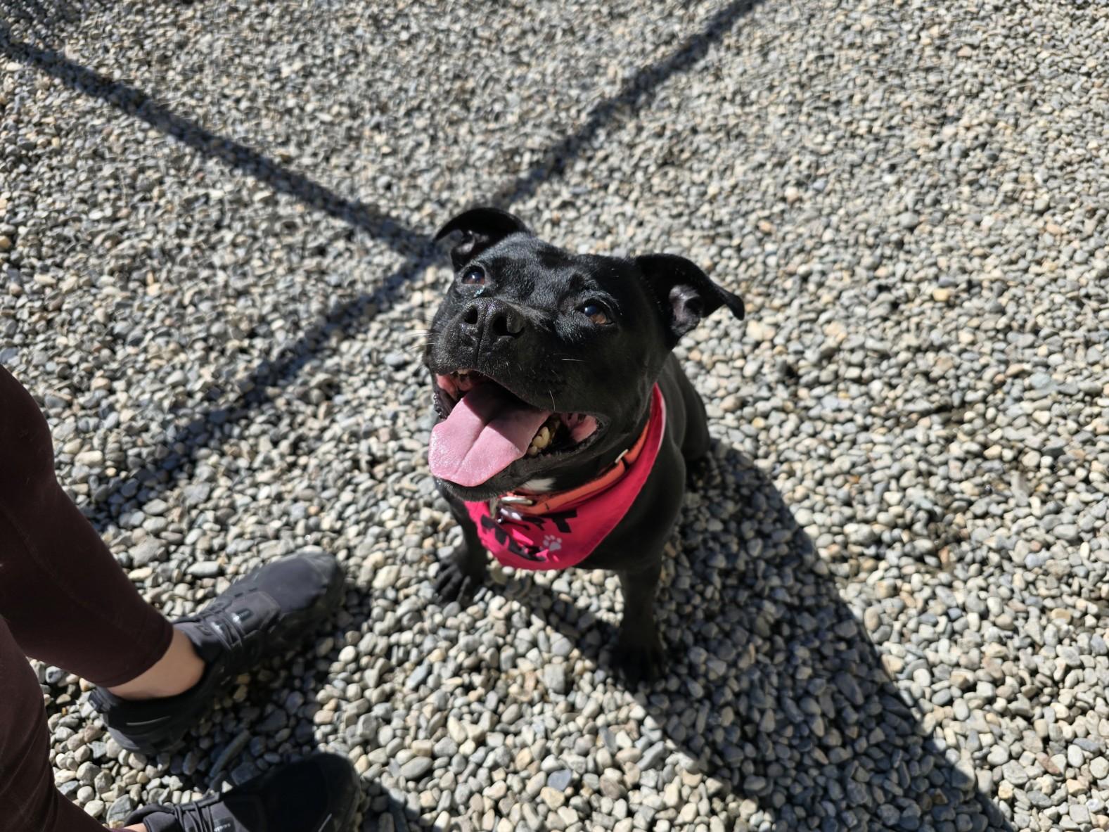 Nala