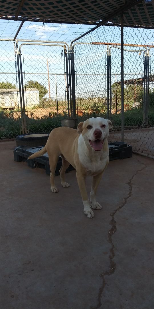 Dozier — thumbnail 2