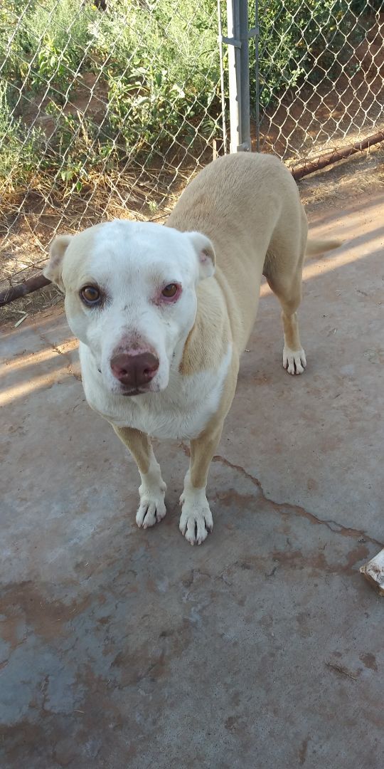 Dozier — thumbnail 3