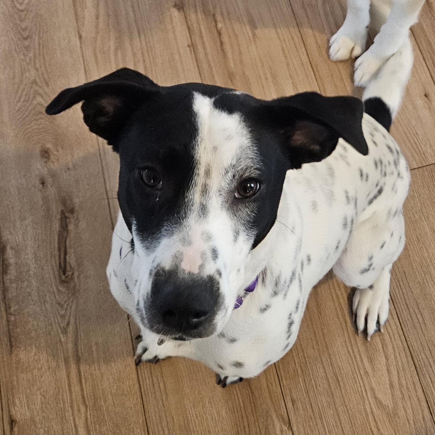 Fiona