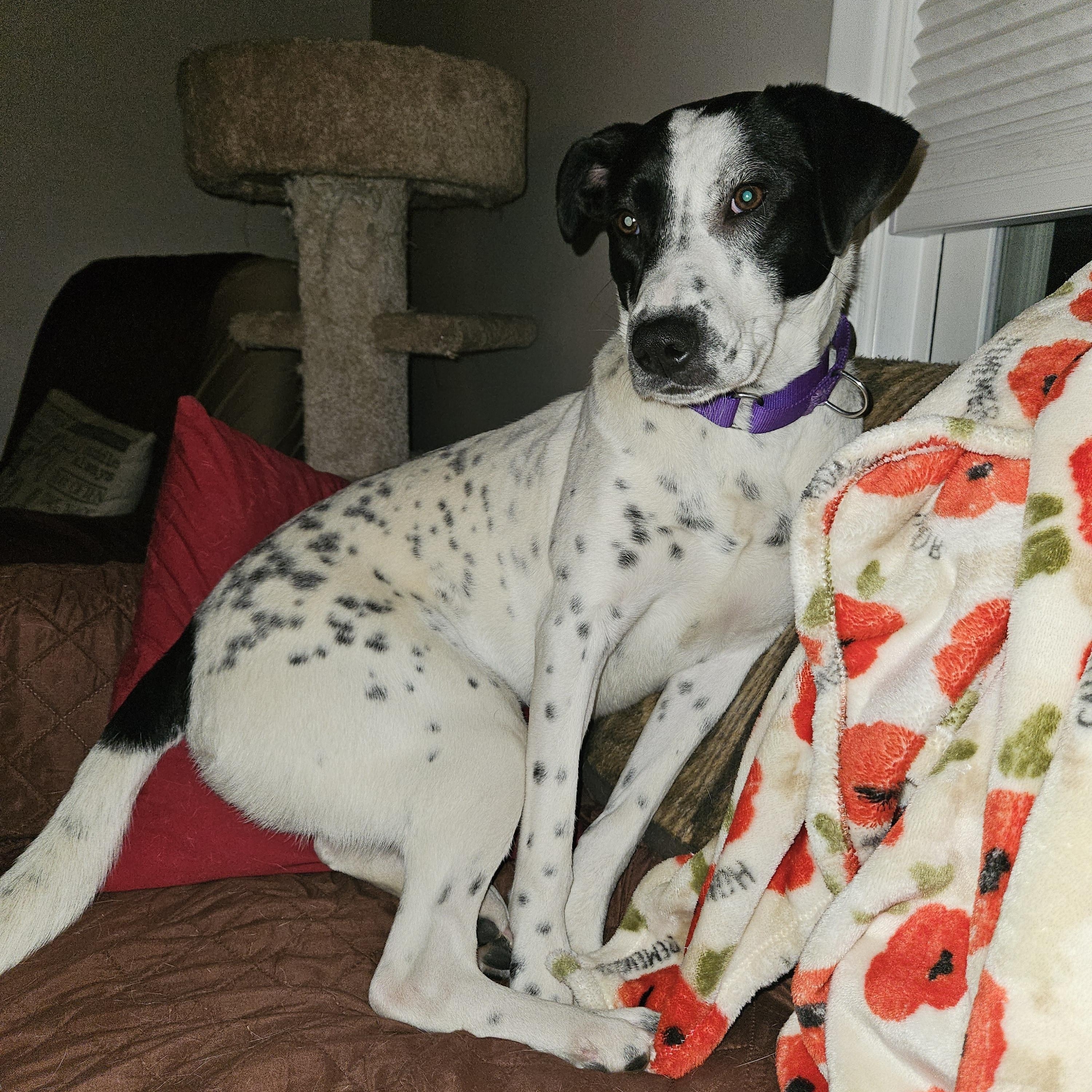 Fiona