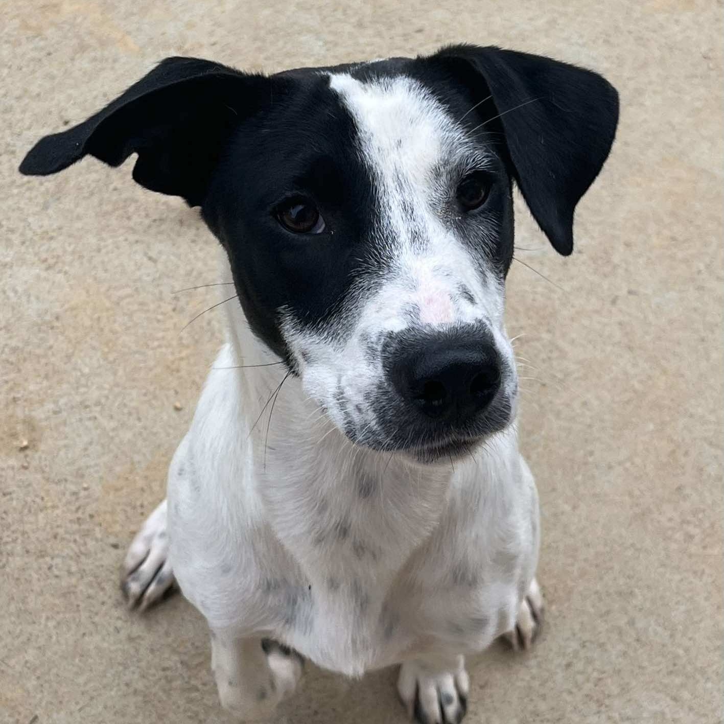 Fiona