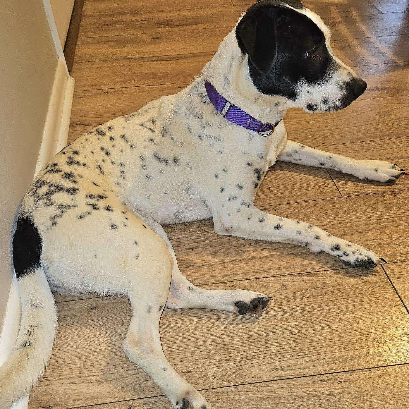 Fiona
