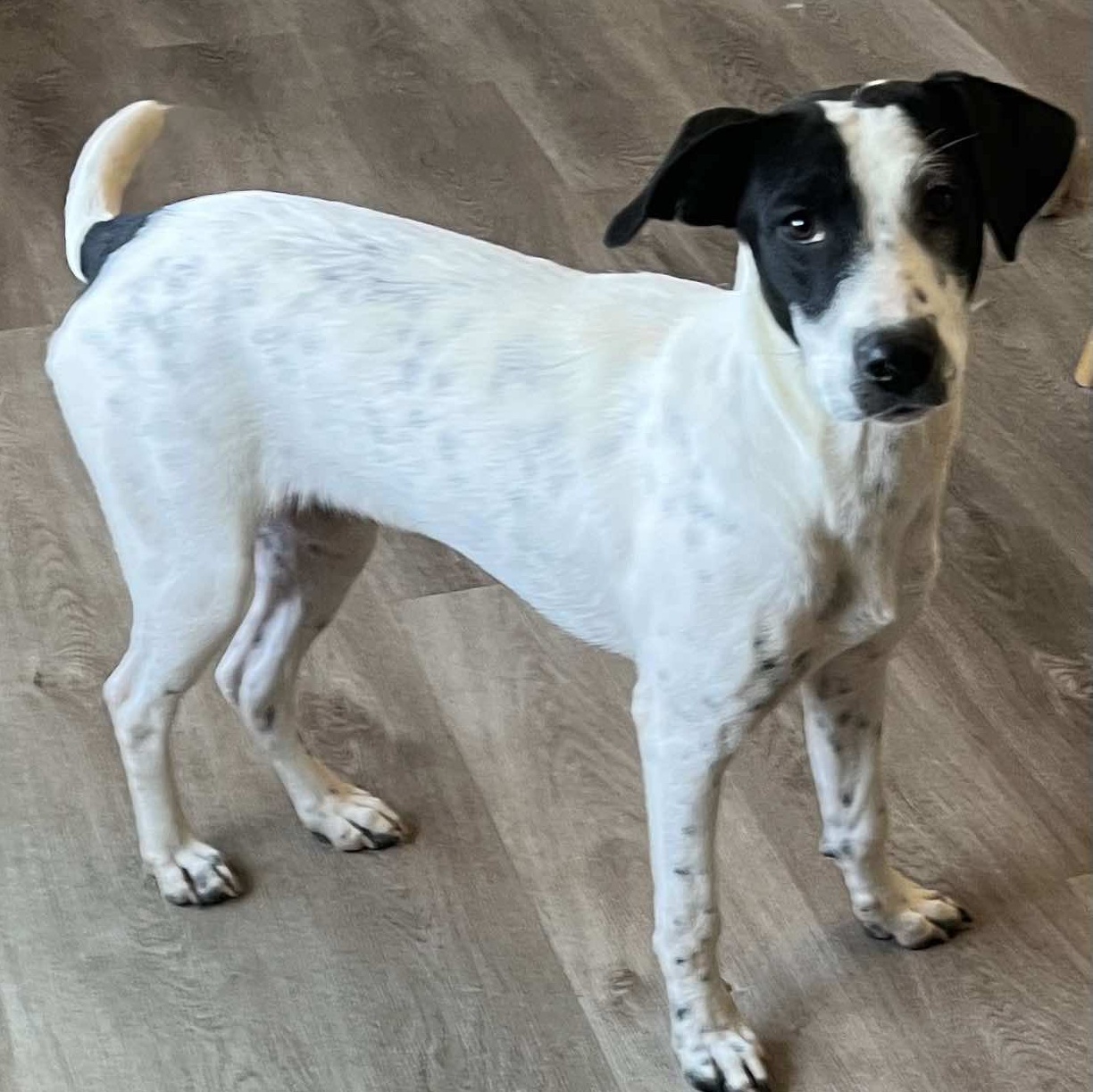 Fiona