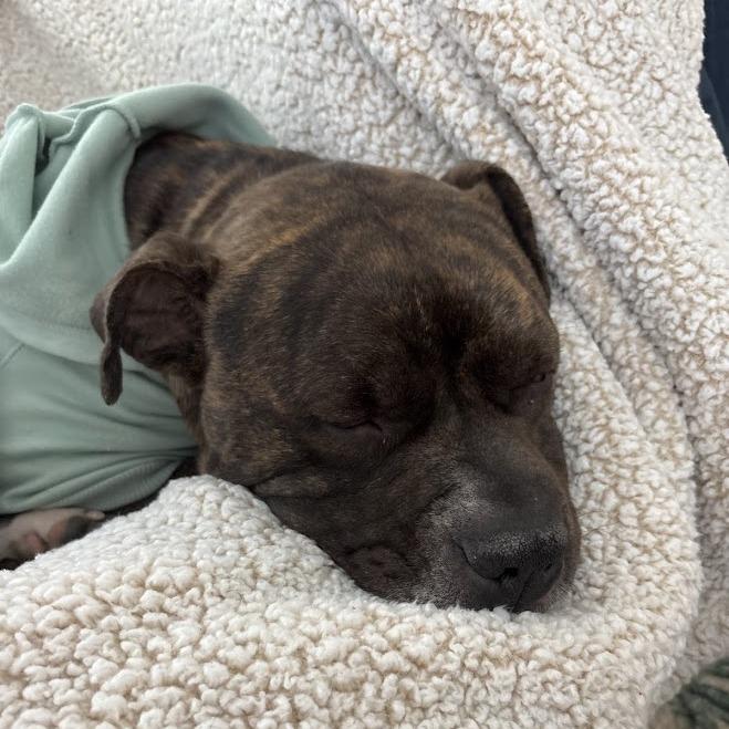 Keekoh — thumbnail 3