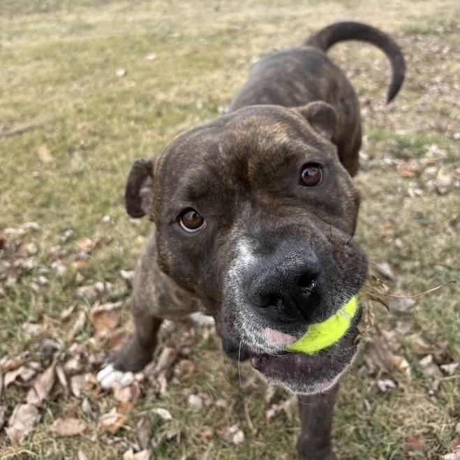 Keekoh — thumbnail 4