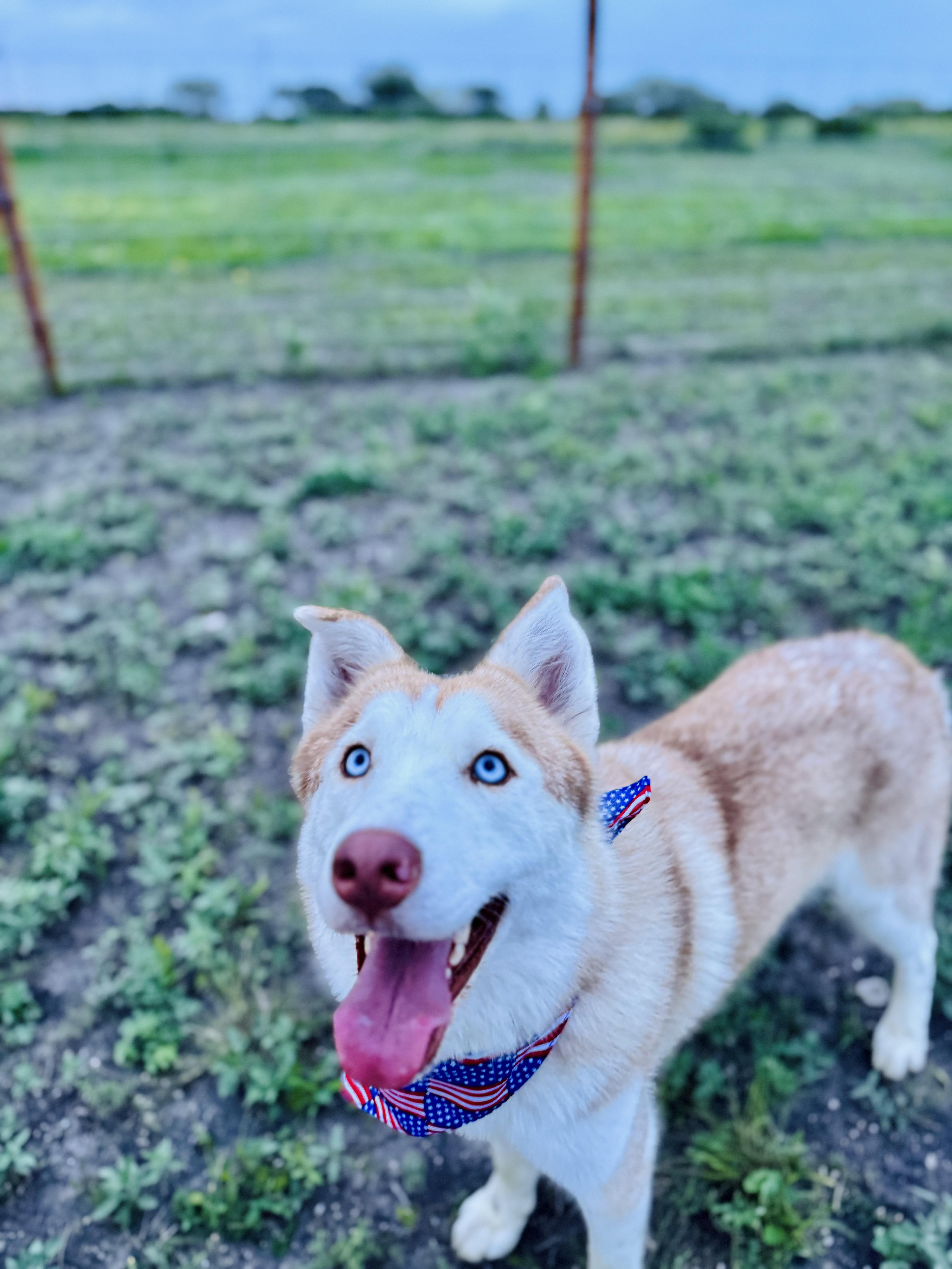Sally photo 3