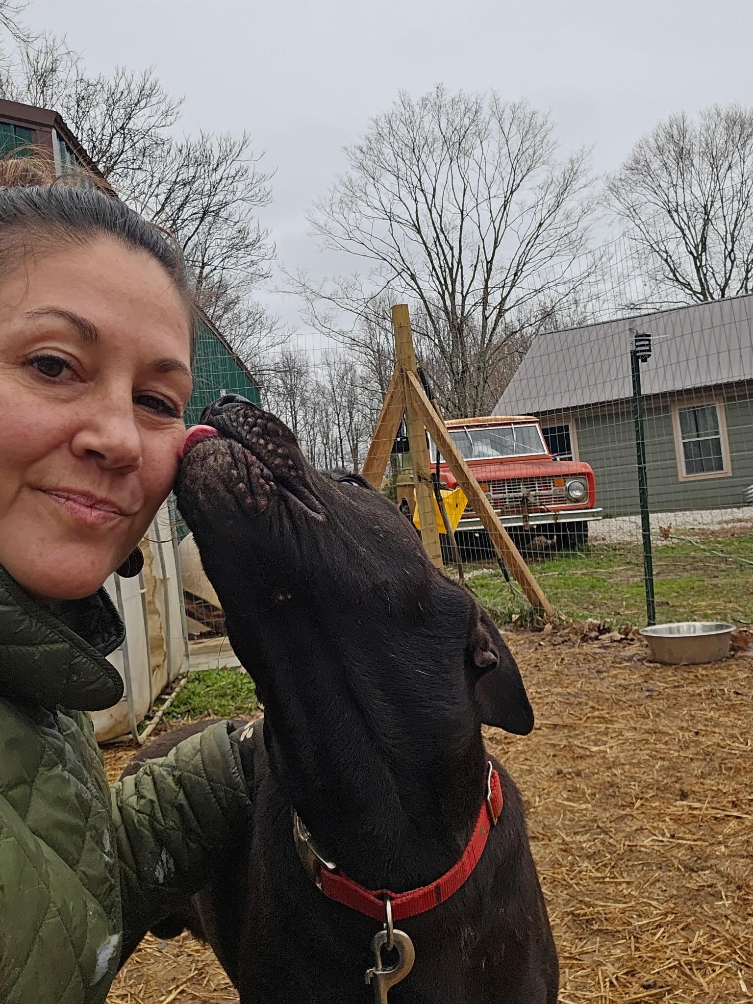 Enlarge Bo , a ADOPTABLE mixed breed in Hilham, TN image 6/6