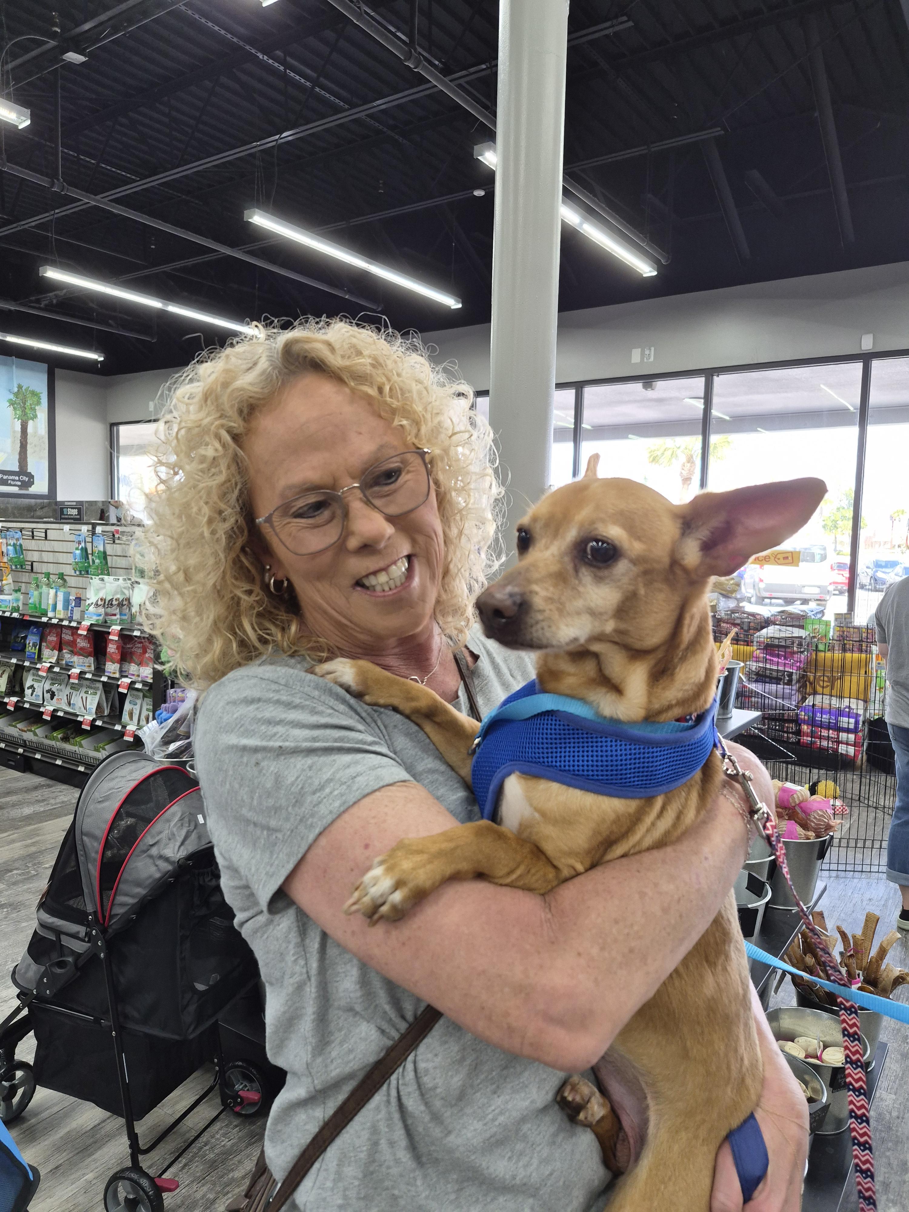 Enlarge Sam, a Adopted mixed breed in Panama City, FL image 1/1