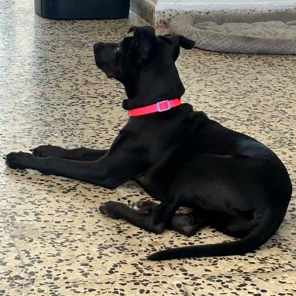 Kira Loira "i Speak thumbnail 2