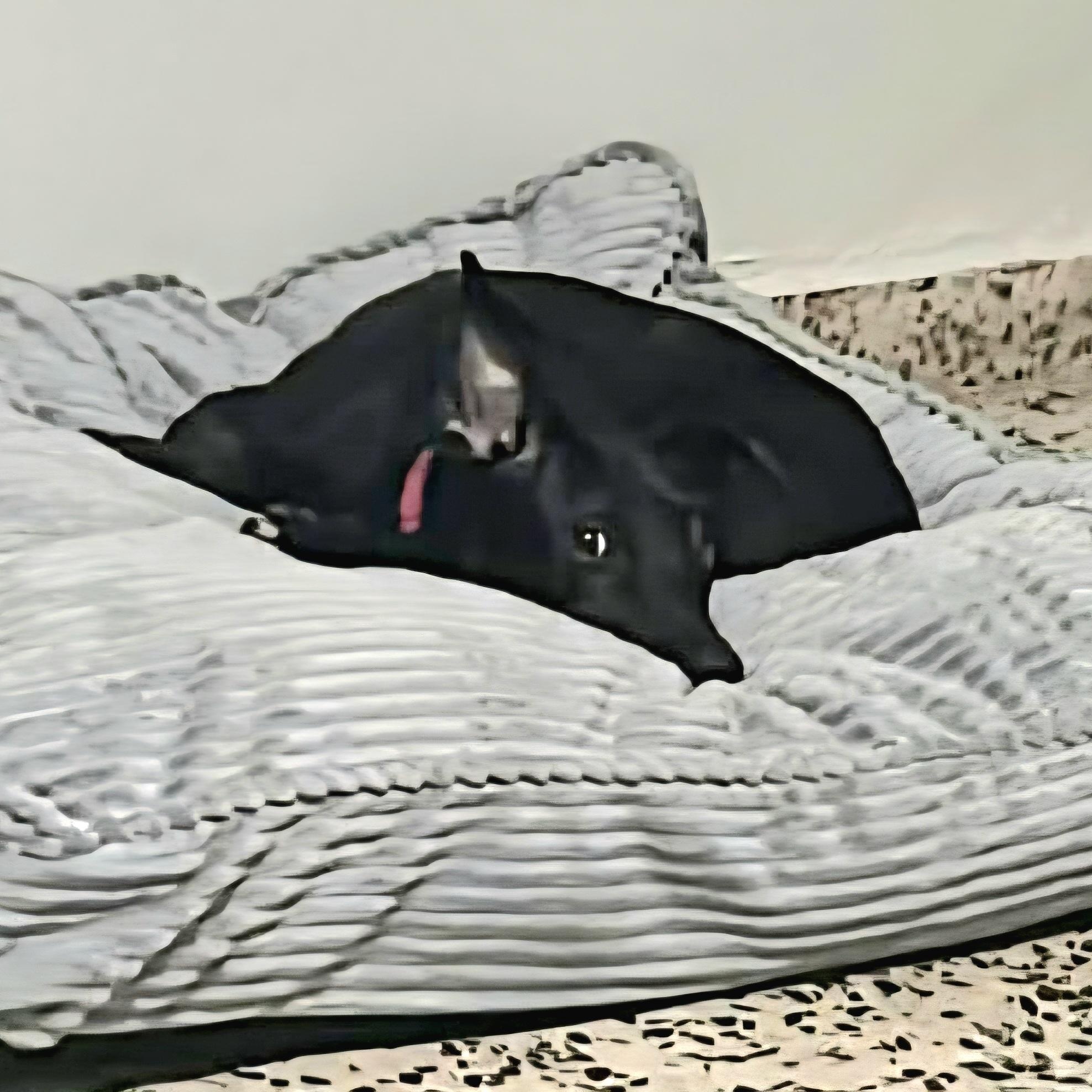 Kira Loira "i Speak thumbnail 4