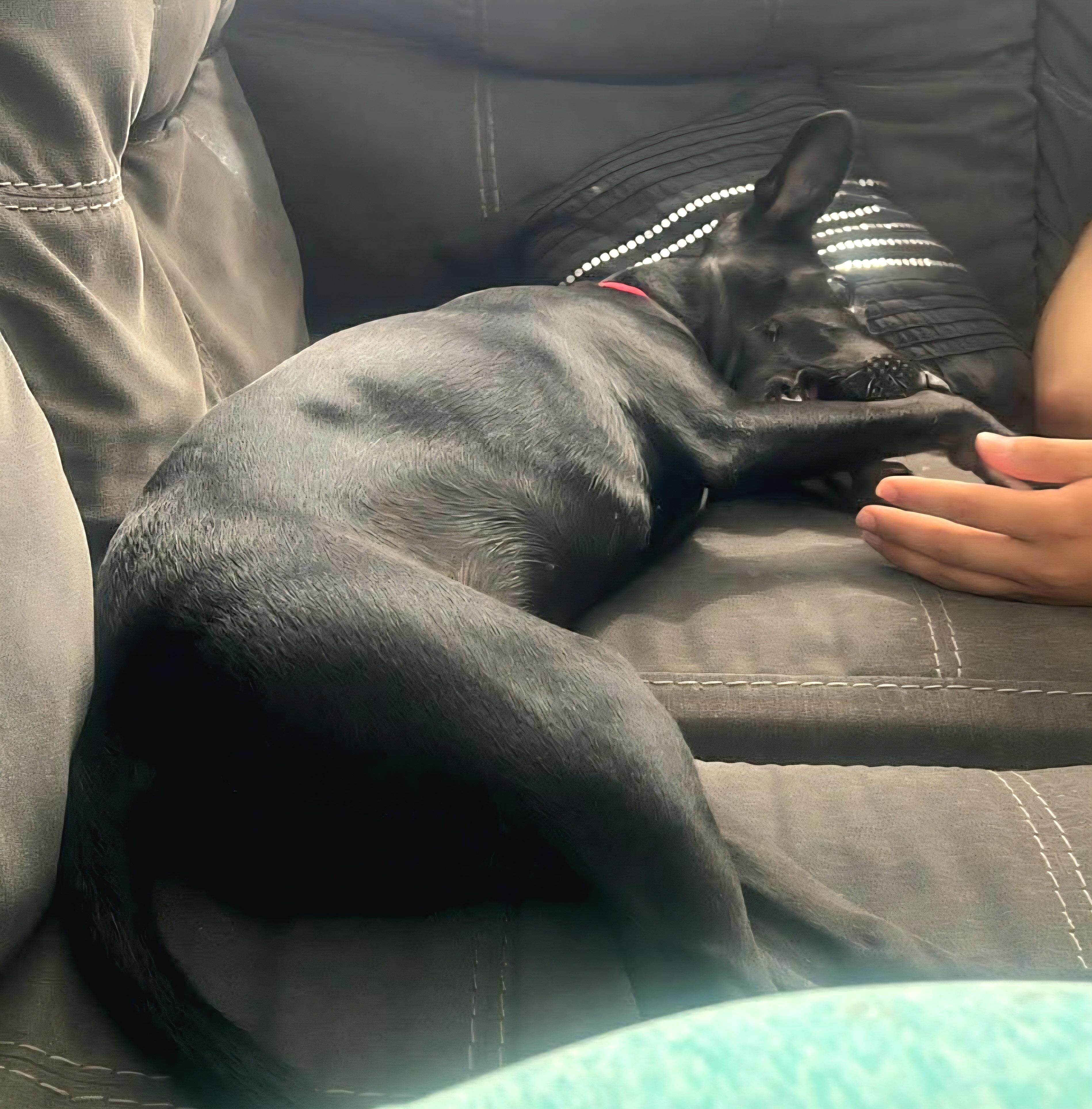 Kira Loira "i Speak thumbnail 5