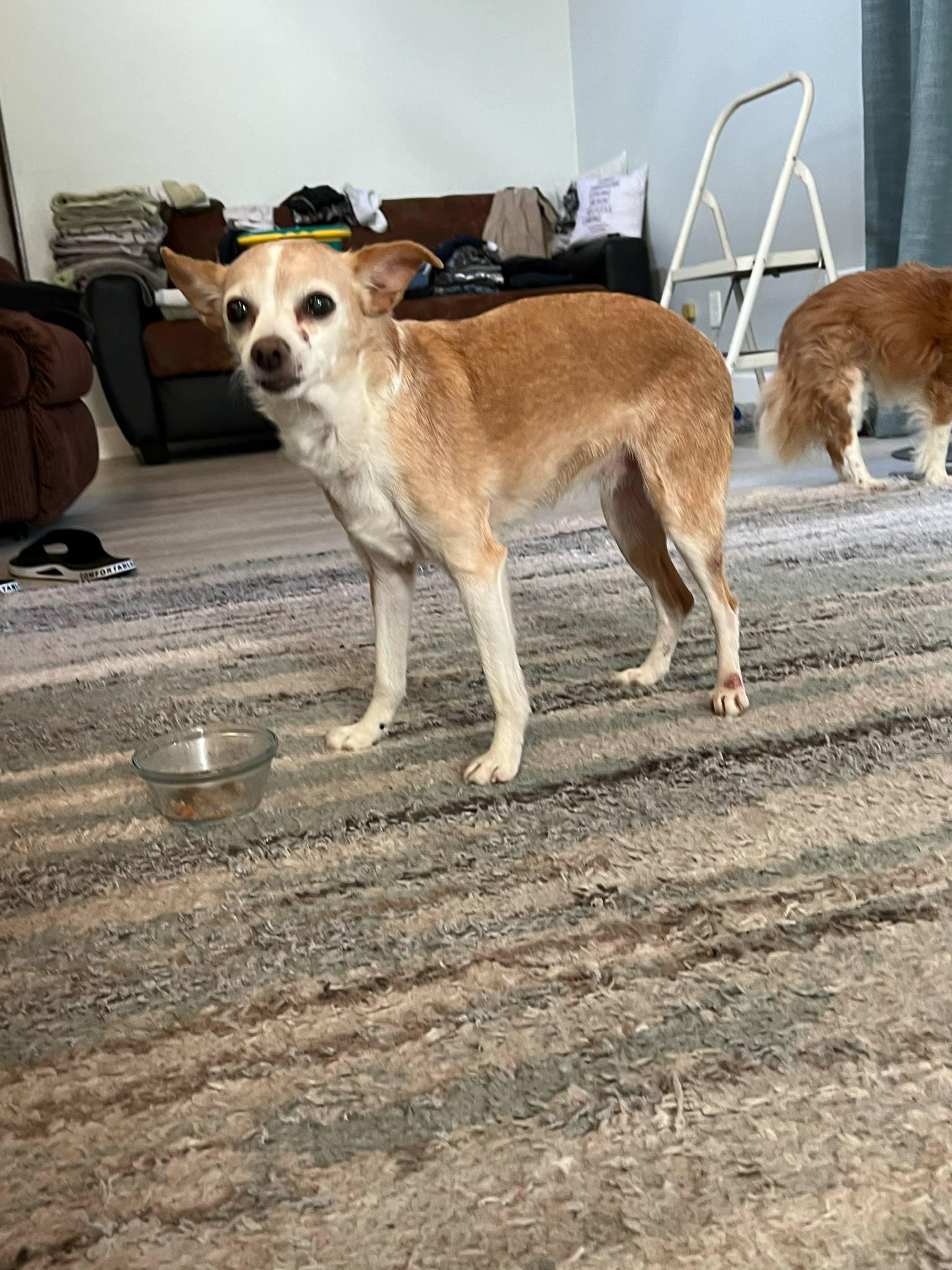 Max and molly photo 2
