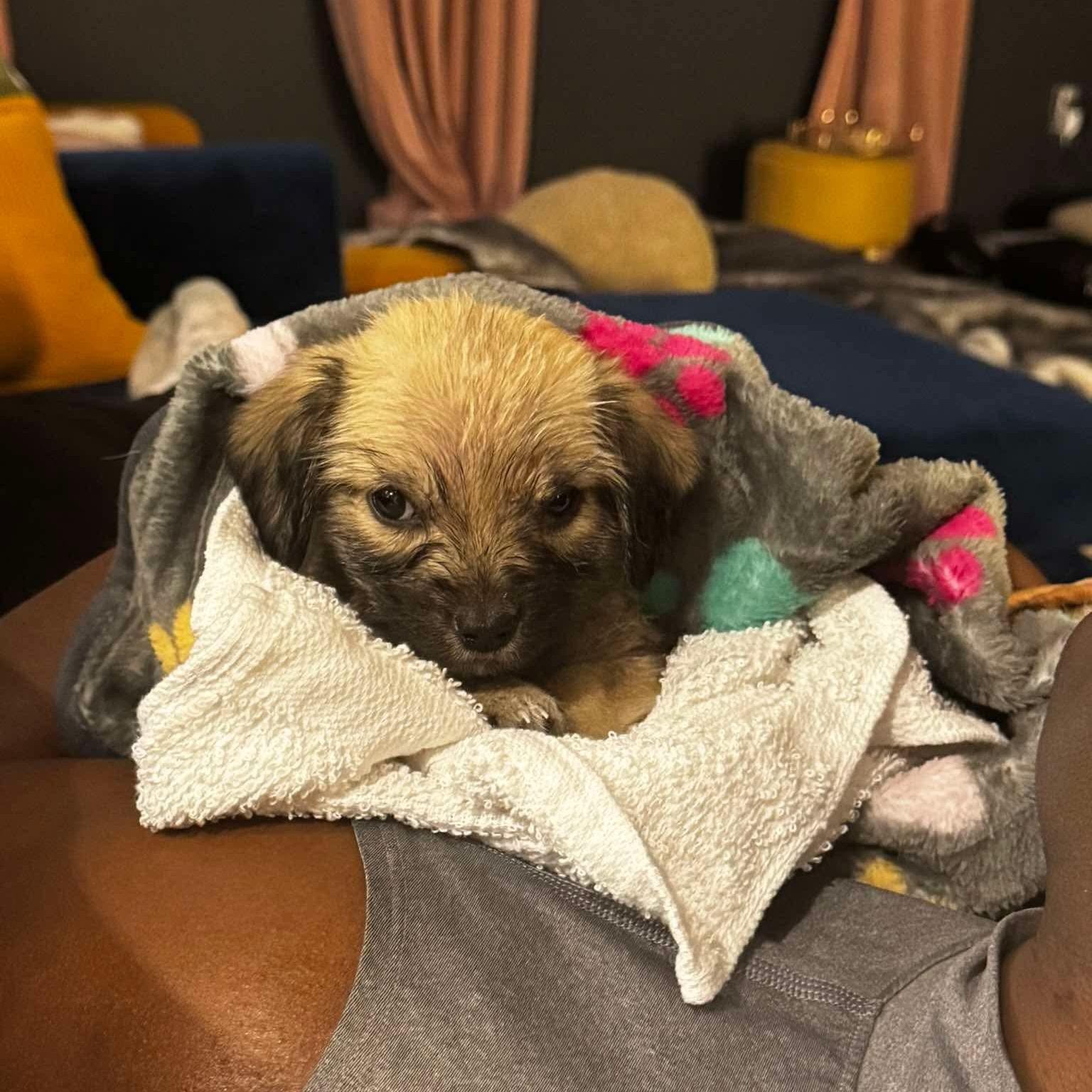 Athena — thumbnail 6