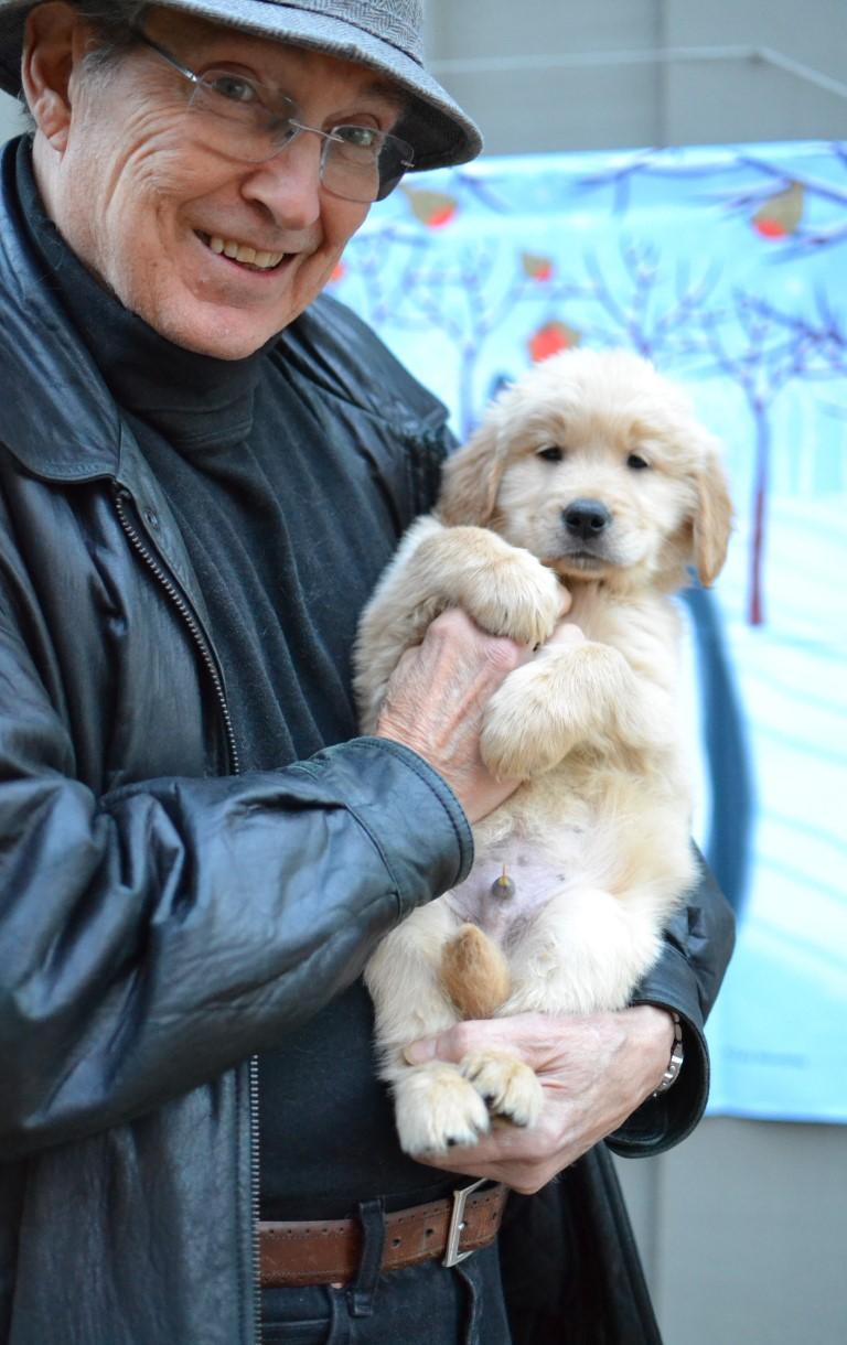 Enlarge Connor, an adopted Golden Retriever in White Plains, NY image 4/5