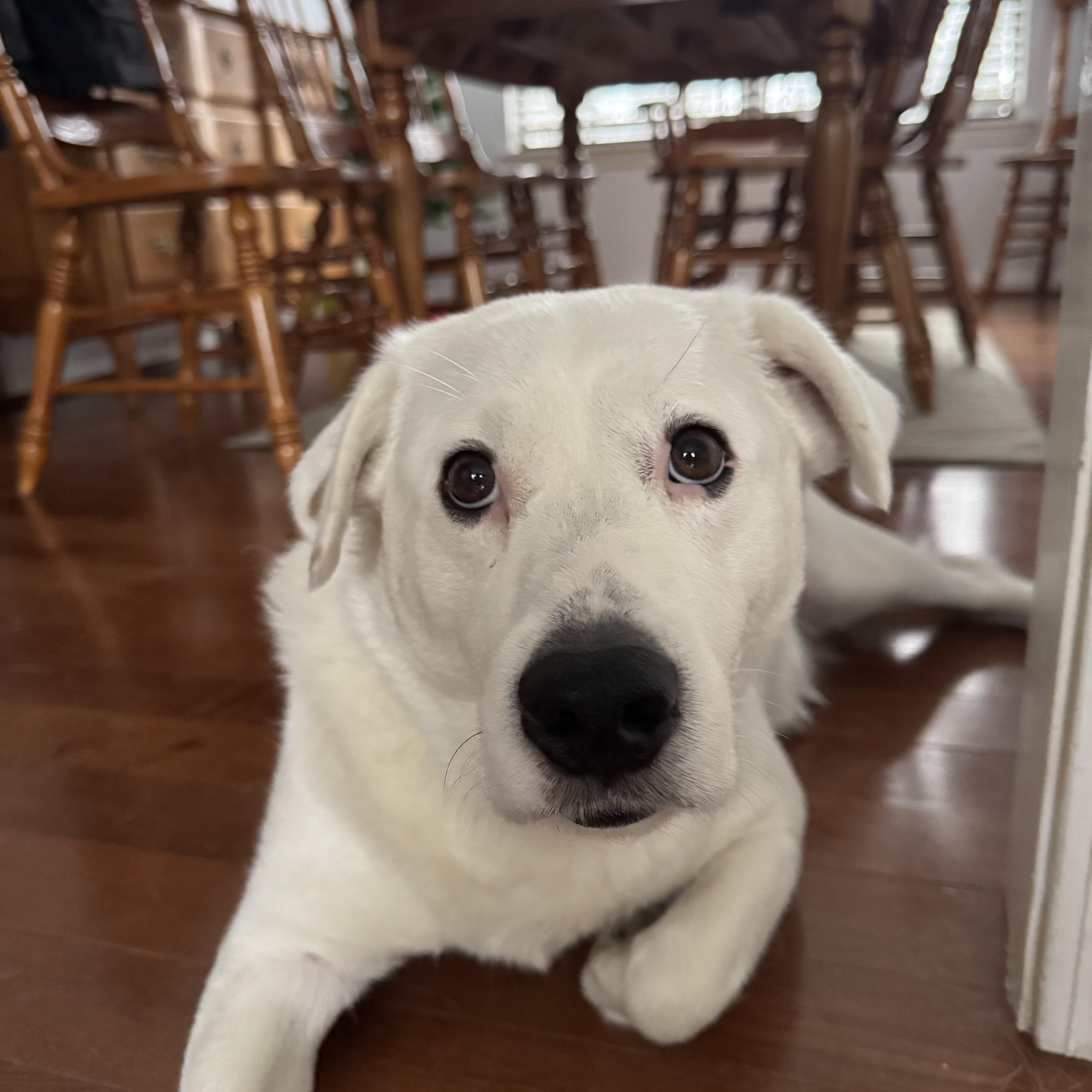 WINNIE photo 2