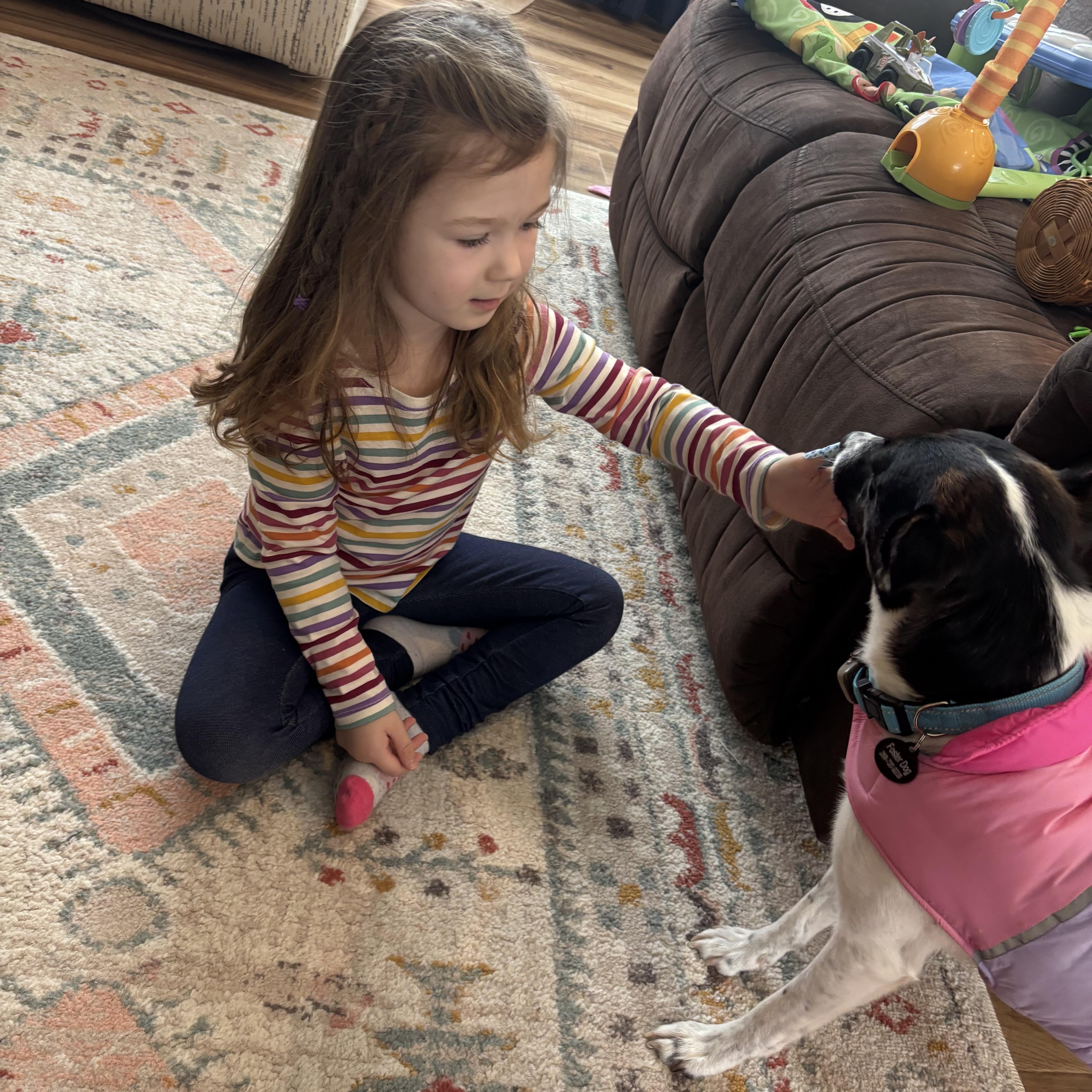 Skippy — thumbnail 4