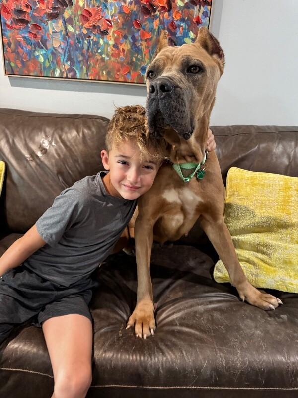 Brandy belle — thumbnail 2