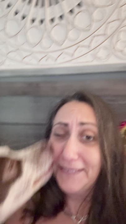 Enlarge HOLKAN (MAYAN WARRIOR), a Adoptable mixed breed in Monroe Township, NJ video 4/5