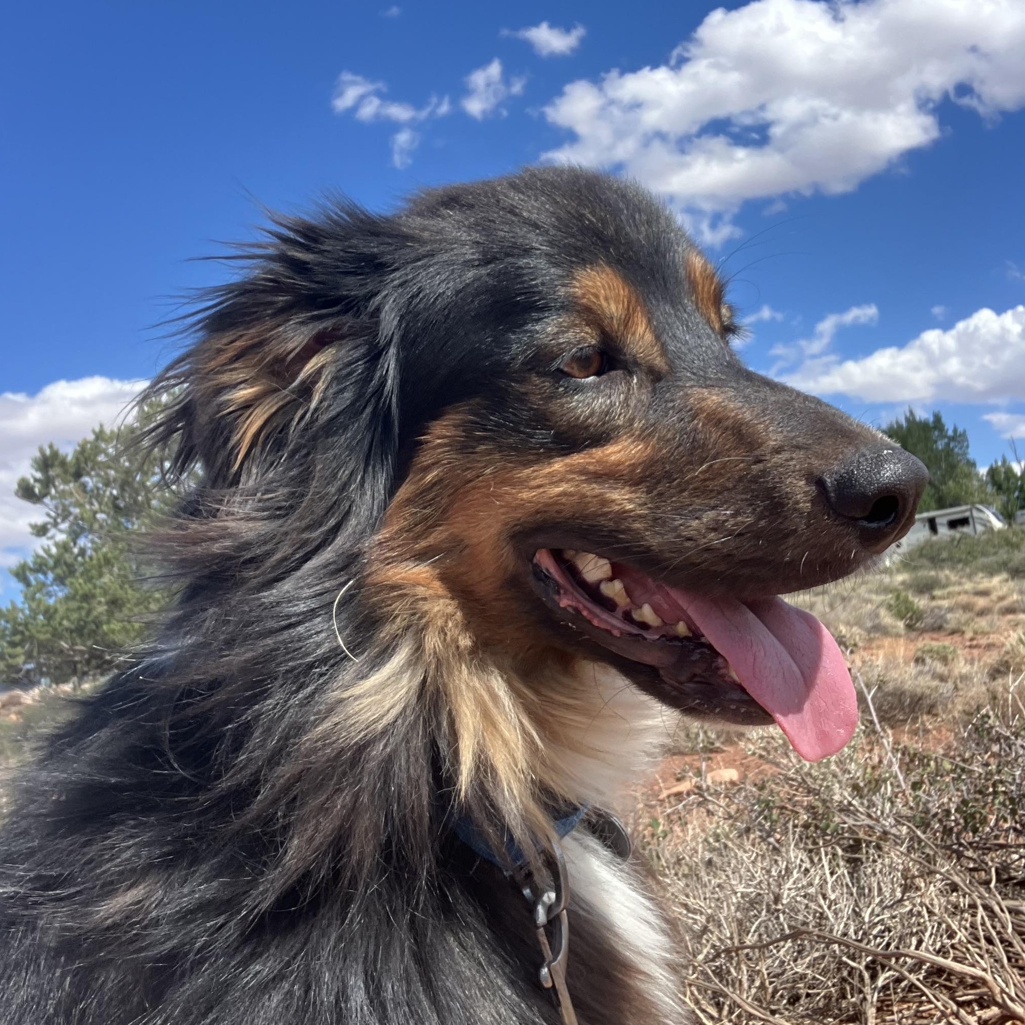Knox