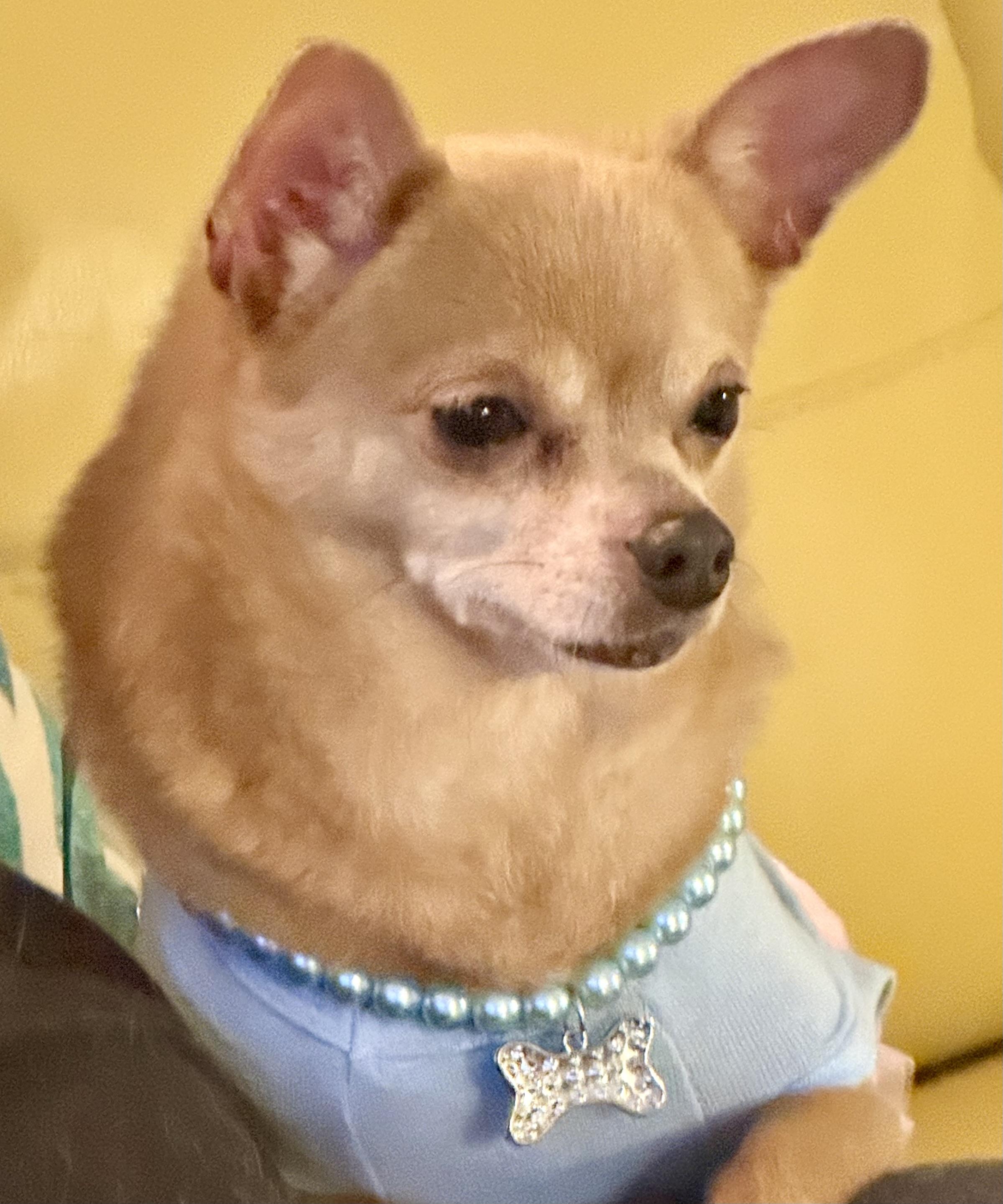 O’Rora