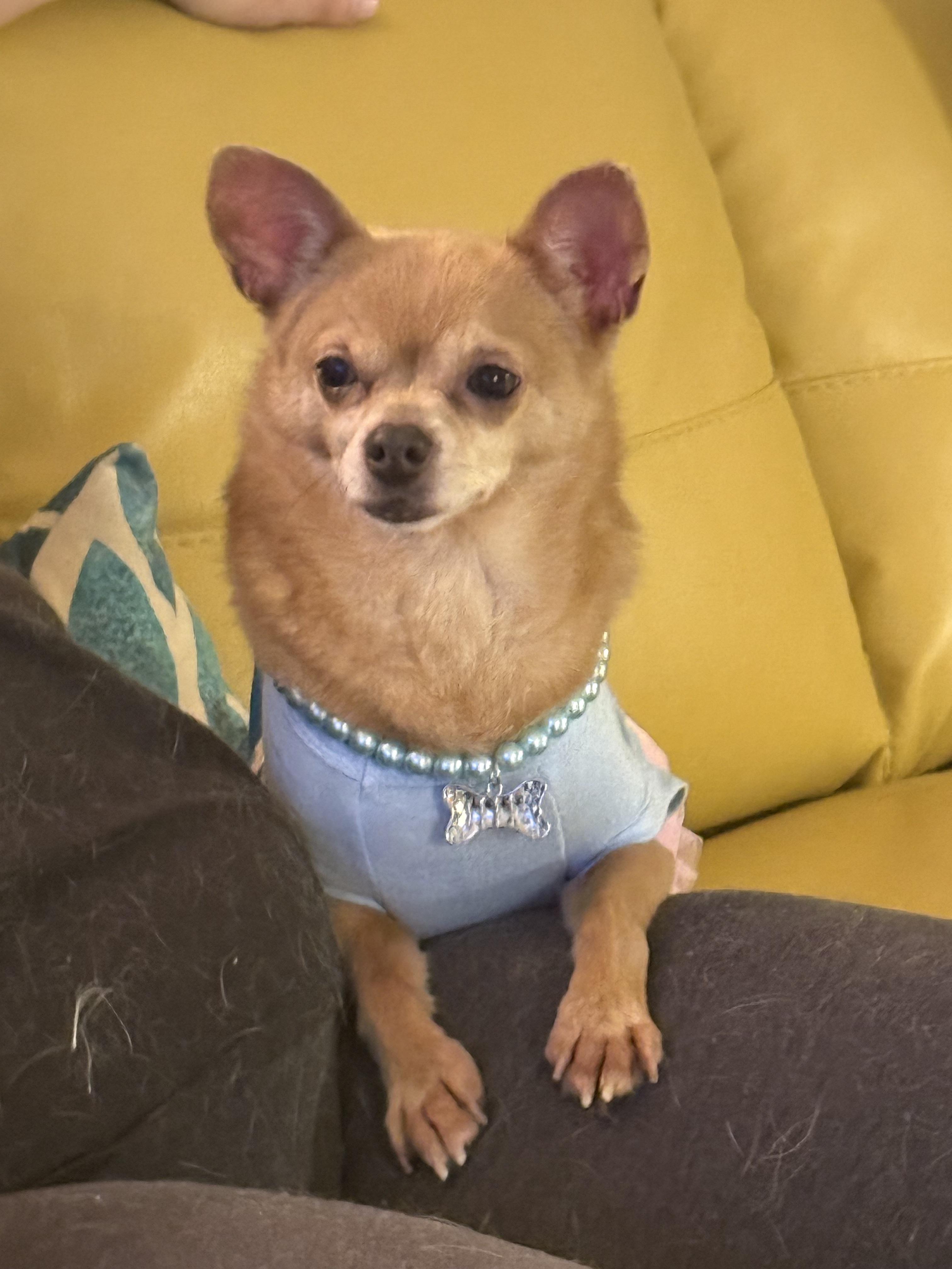 O’Rora photo 2