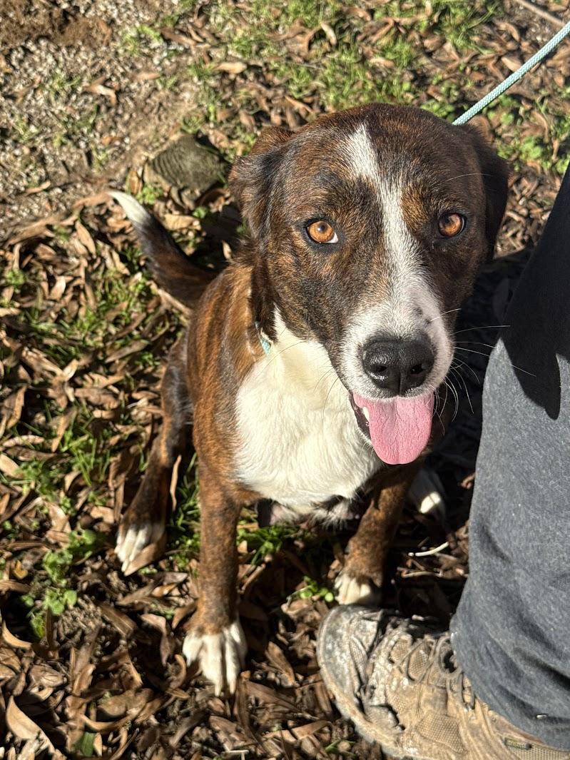 LONDON — thumbnail 2